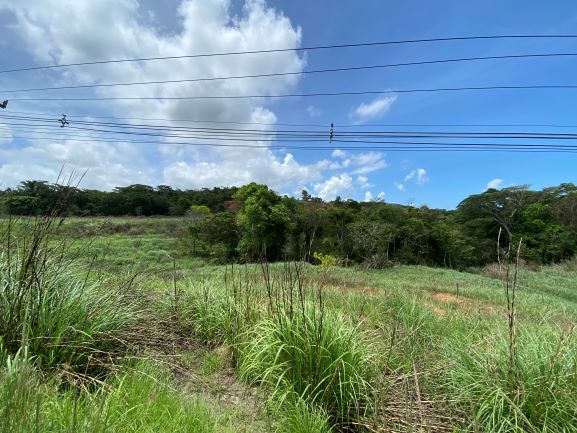Imagen de bien en venta ubicado en: Panamá Oeste, Arraiján, Arraiján, Cerro Silvestre