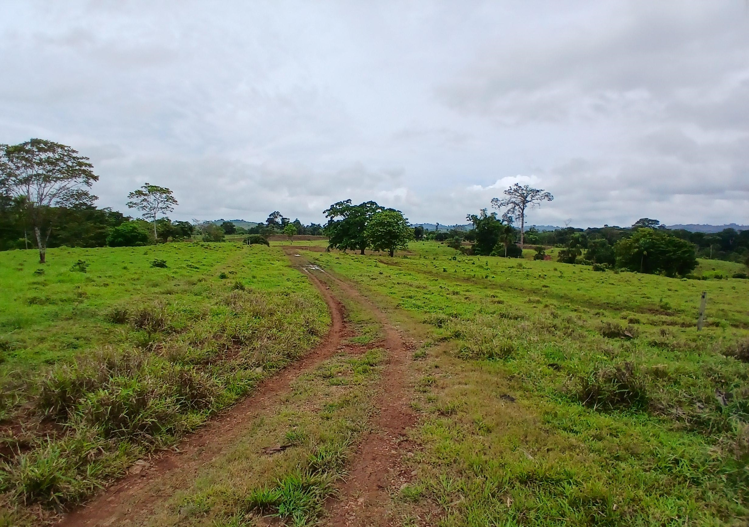 Imagen de bien en venta ubicado en: Darién, Chepigana, Río Congo, Río Congo, Río Congo