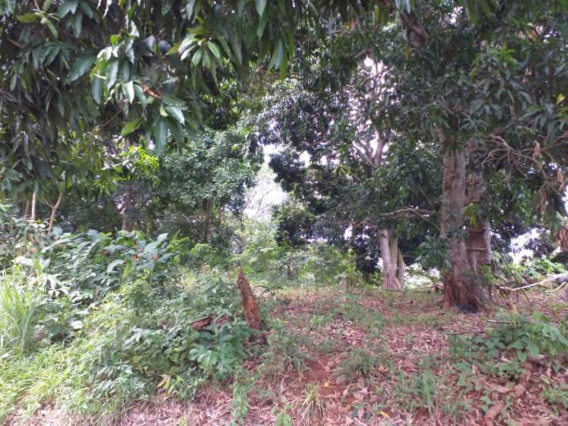Imagen de bien en venta ubicado en: Panamá Oeste, La Chorrera, Puerto Caimito, Llano Limón, Ave. A, Lote 6-A