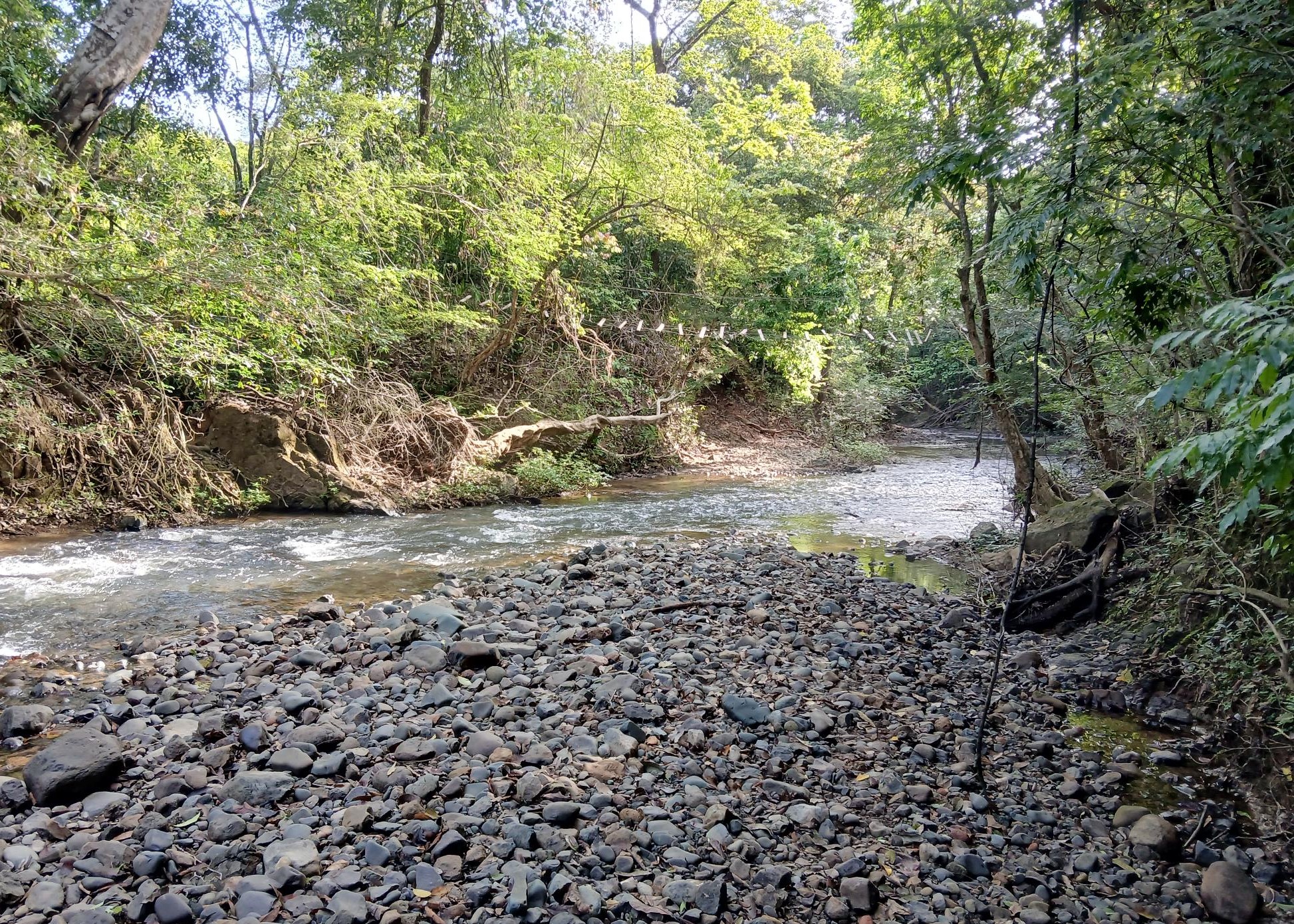 Imagen de bien en venta ubicado en: Herrera, Ocú, Los Llanos, Los Llanos, Camino a El Suay a Los Salitres