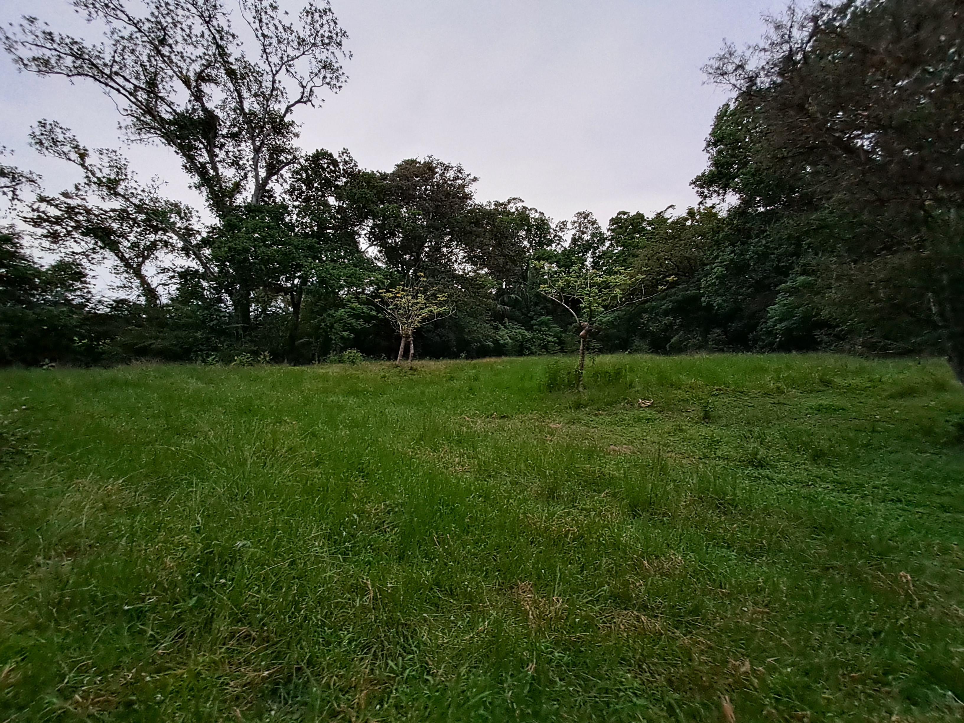 Imagen de bien en venta ubicado en: Veraguas, Soná, La Soledad, La Soledad, San Juanito