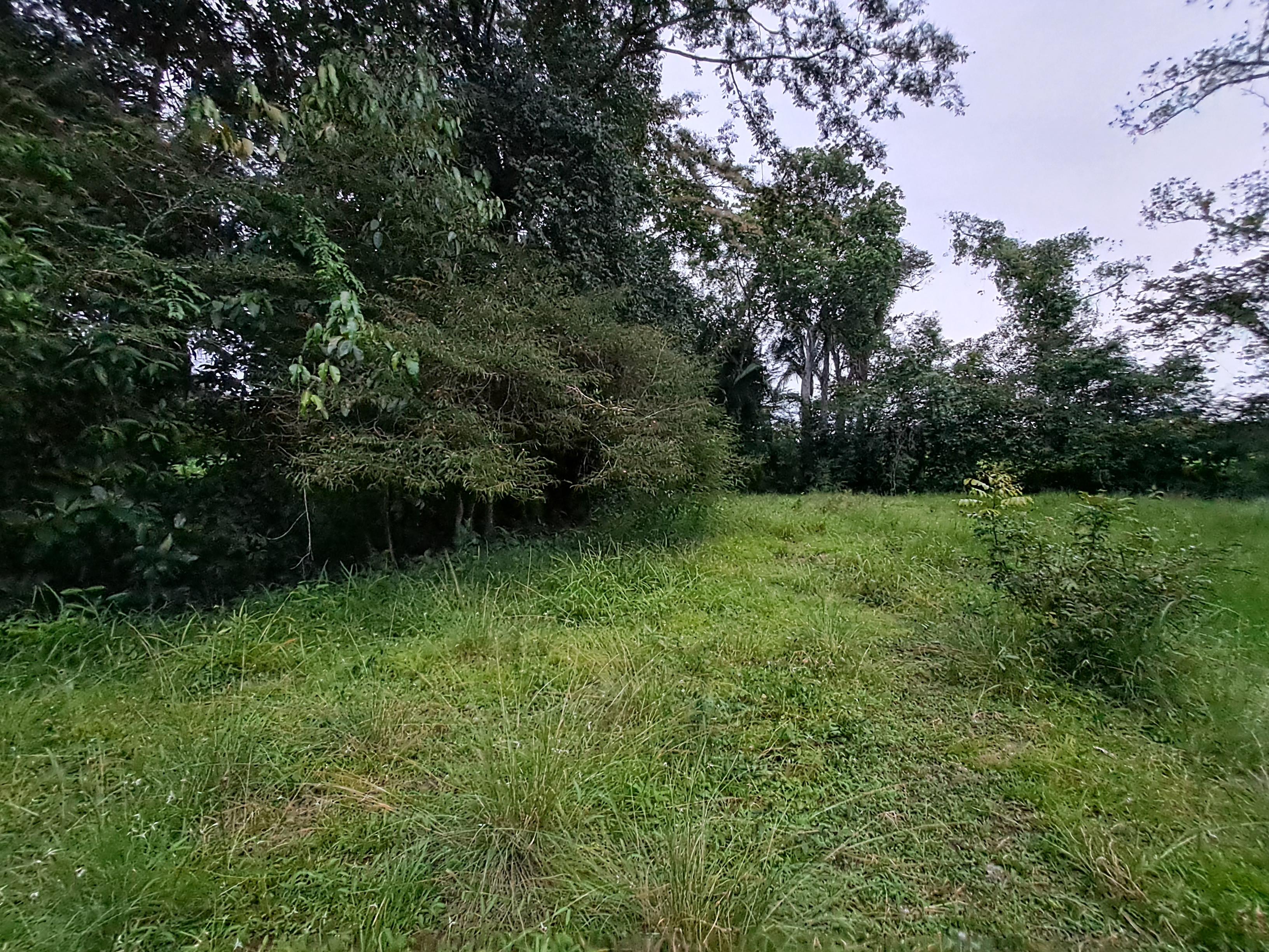 Imagen de bien en venta ubicado en: Veraguas, Soná, La Soledad, La Soledad, San Juanito