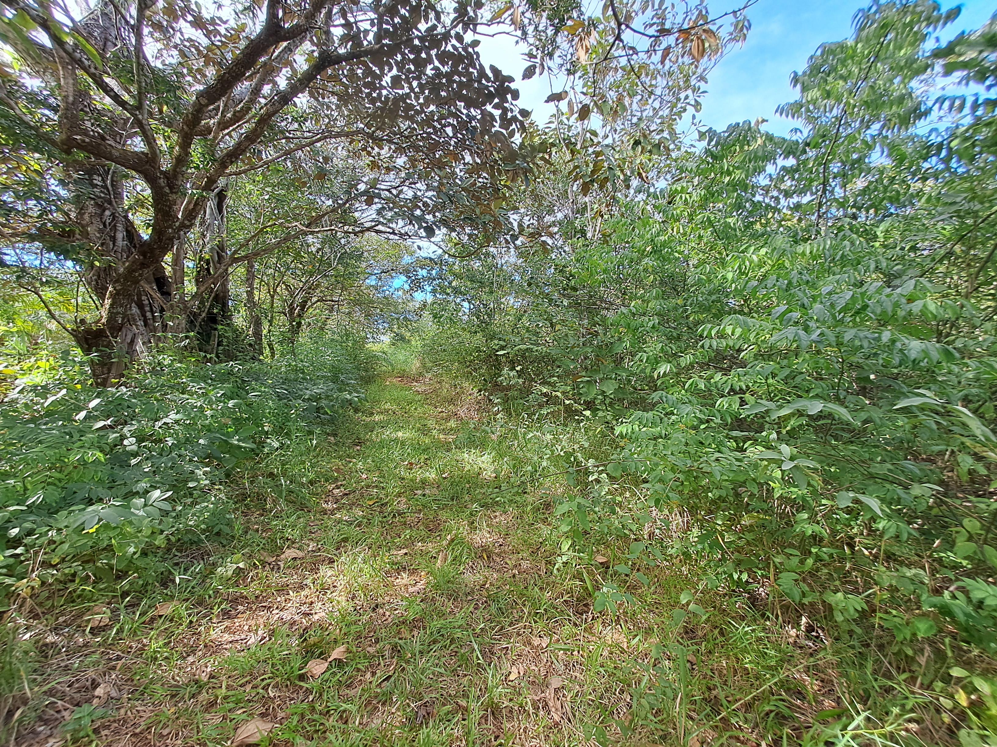 Imagen de bien en venta ubicado en: Los Santos, Macaracas, Macaracas, Botello, 