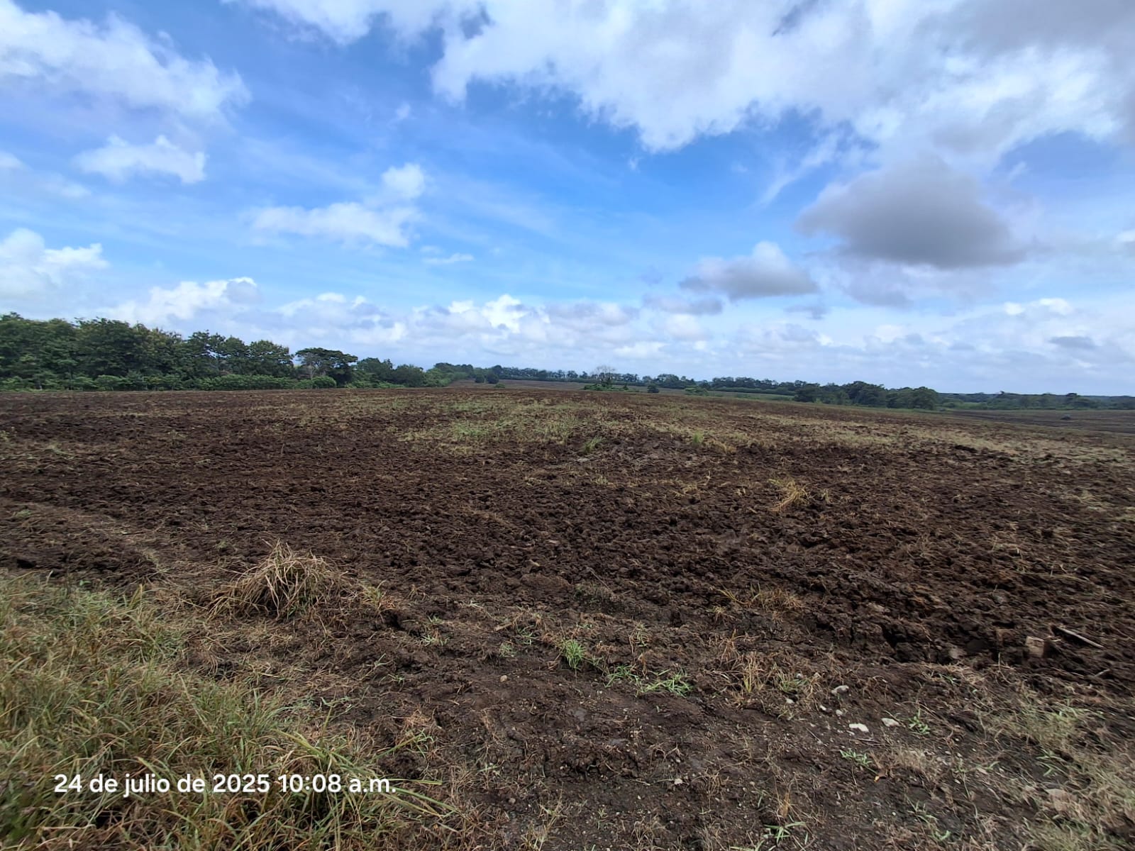 Imagen de bien en venta ubicado en: Panamá, Chepo, Tortí, Chepo, Clarita