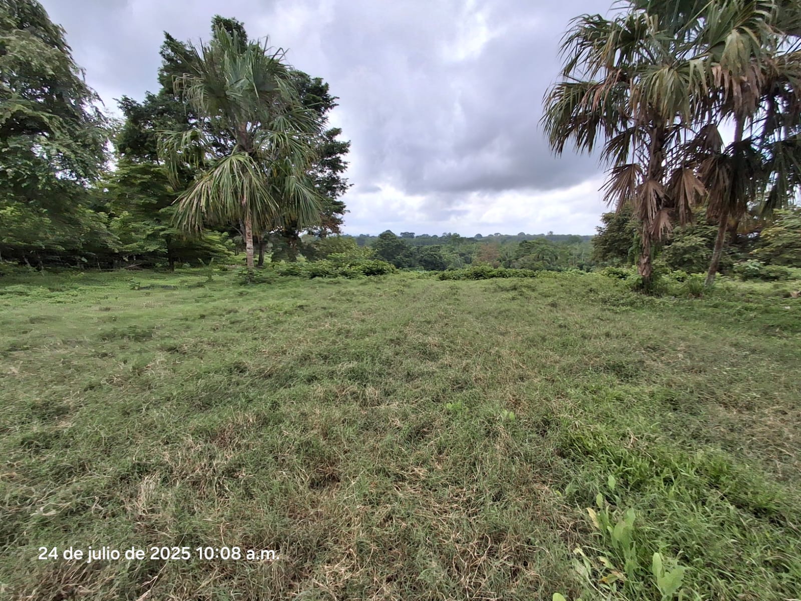 Imagen de bien en venta ubicado en: Panamá, Chepo, Tortí, Chepo, Clarita