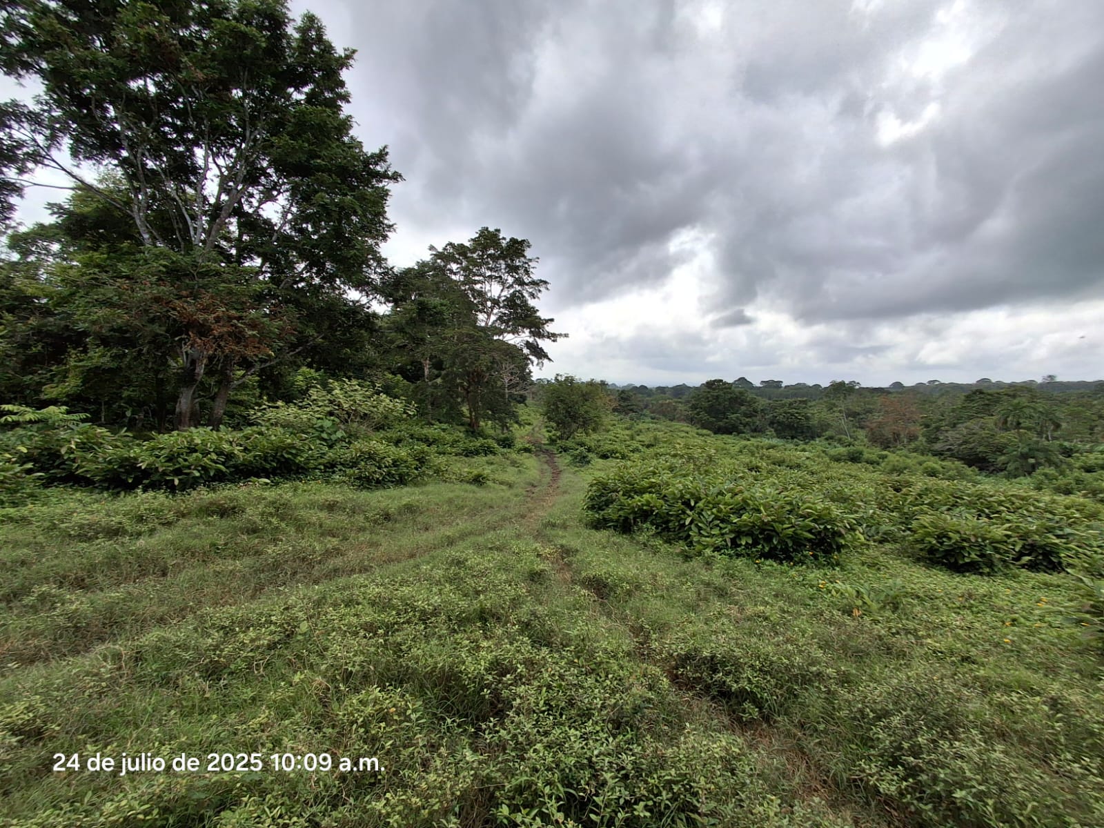 Imagen de bien en venta ubicado en: Panamá, Chepo, Tortí, Chepo, Clarita