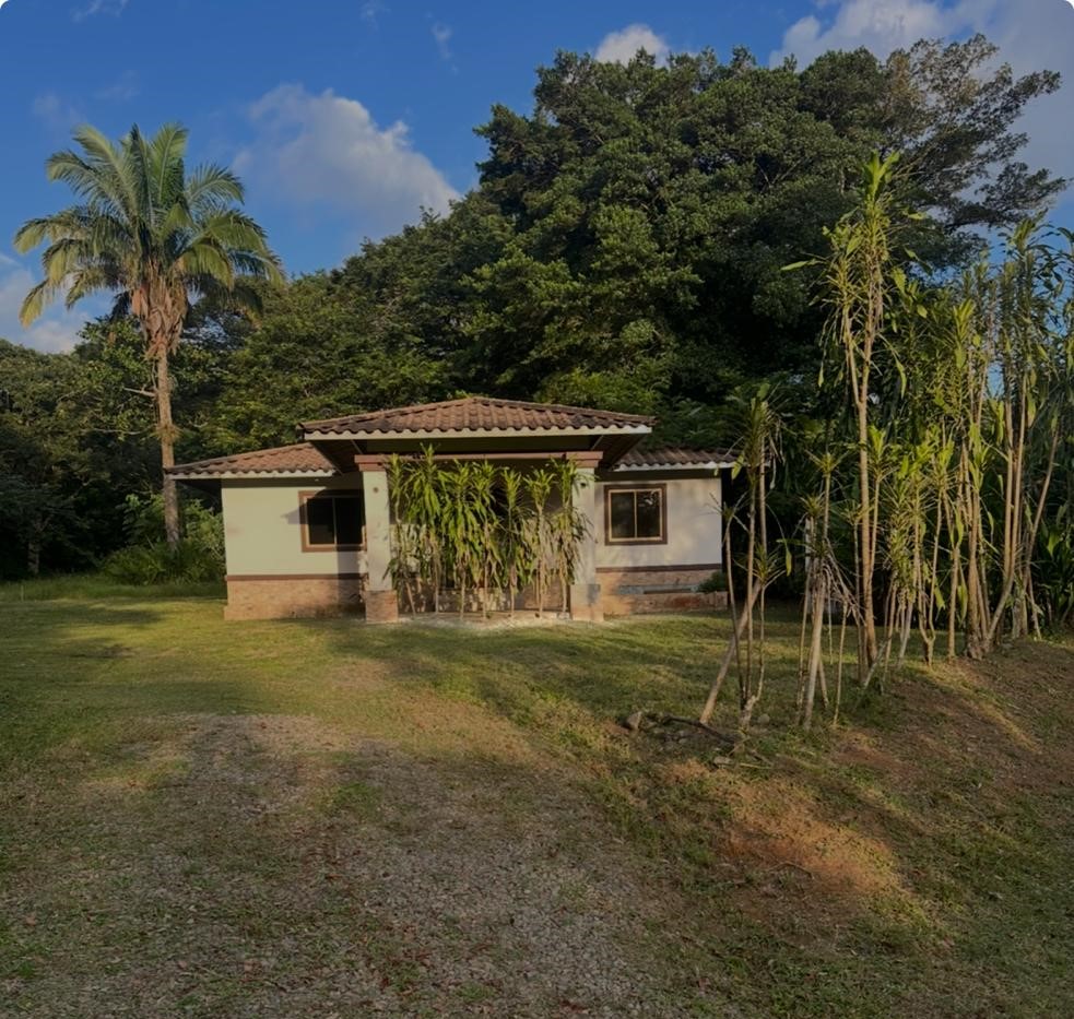 Imagen de bien en venta ubicado en: Chiriquí, Dolega, Los Algarrobos, Santa Rosa, A 250 metros de la carretera David-Boquete