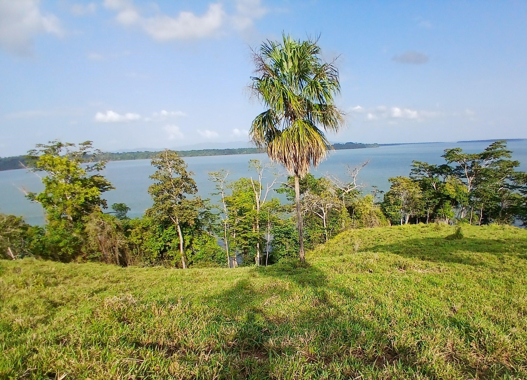 Imagen de bien en venta ubicado en: Darién, Chepigana, La Palma, La Marea, La Marea