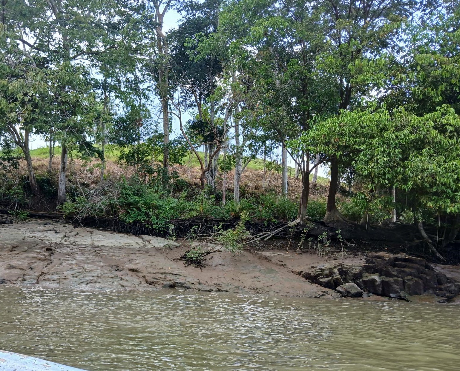 Imagen de bien en venta ubicado en: Darién, Chepigana, La Palma, La Marea, La Marea