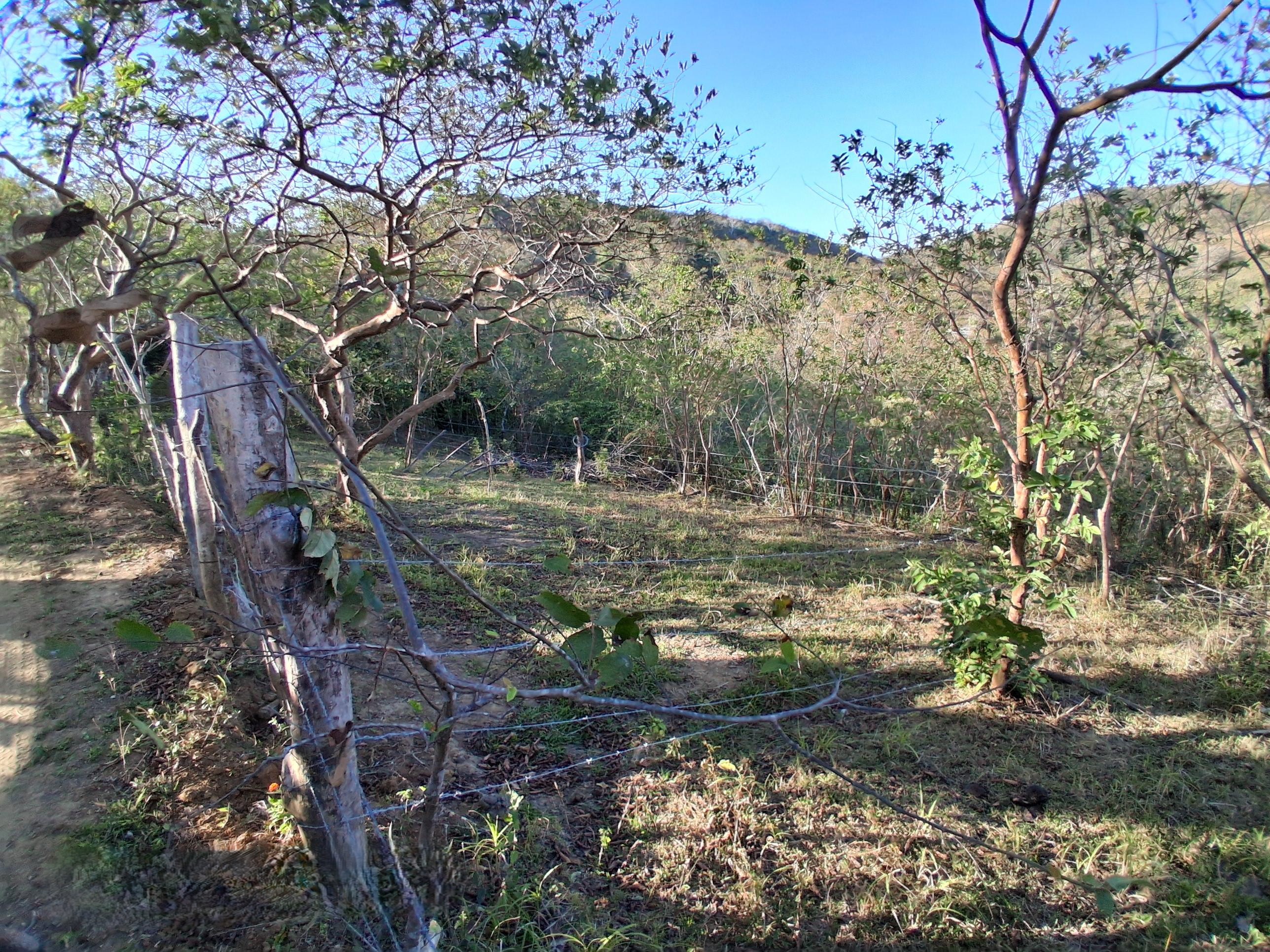 Imagen de bien en venta ubicado en: Los Santos, Tonosí, El Cortezo, La Pintada, El Cortezo