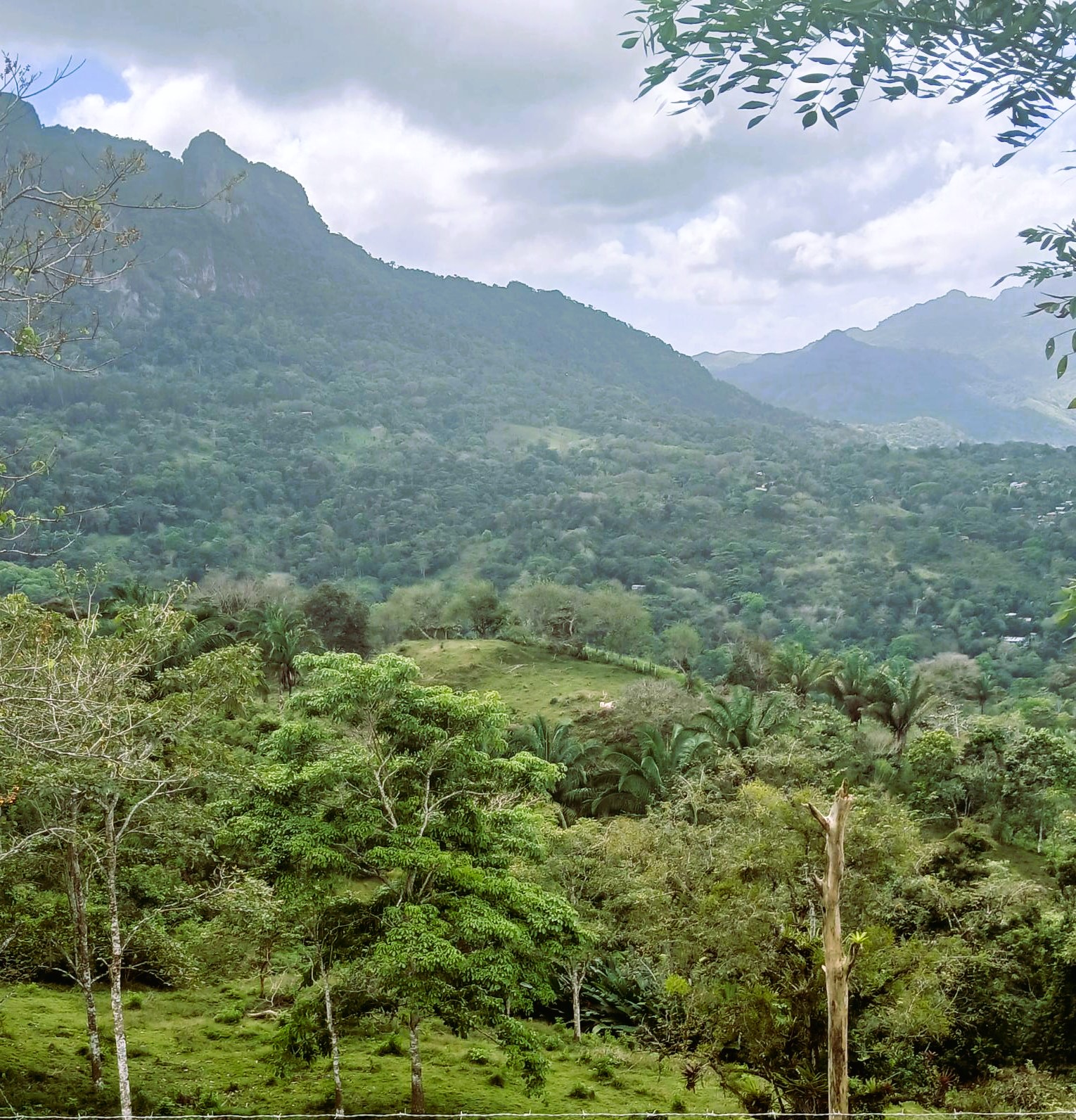 Imagen de bien en venta ubicado en: Panamá Oeste, Capira, Lídice, Cerro Ojo de Agua, 