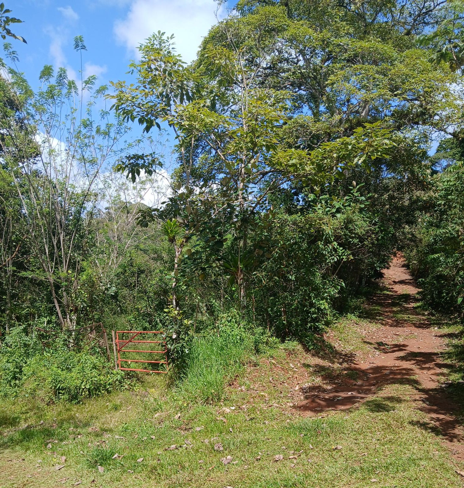 Imagen de bien en venta ubicado en: Panamá Oeste, Capira, Lídice, Cerro Ojo de Agua, 