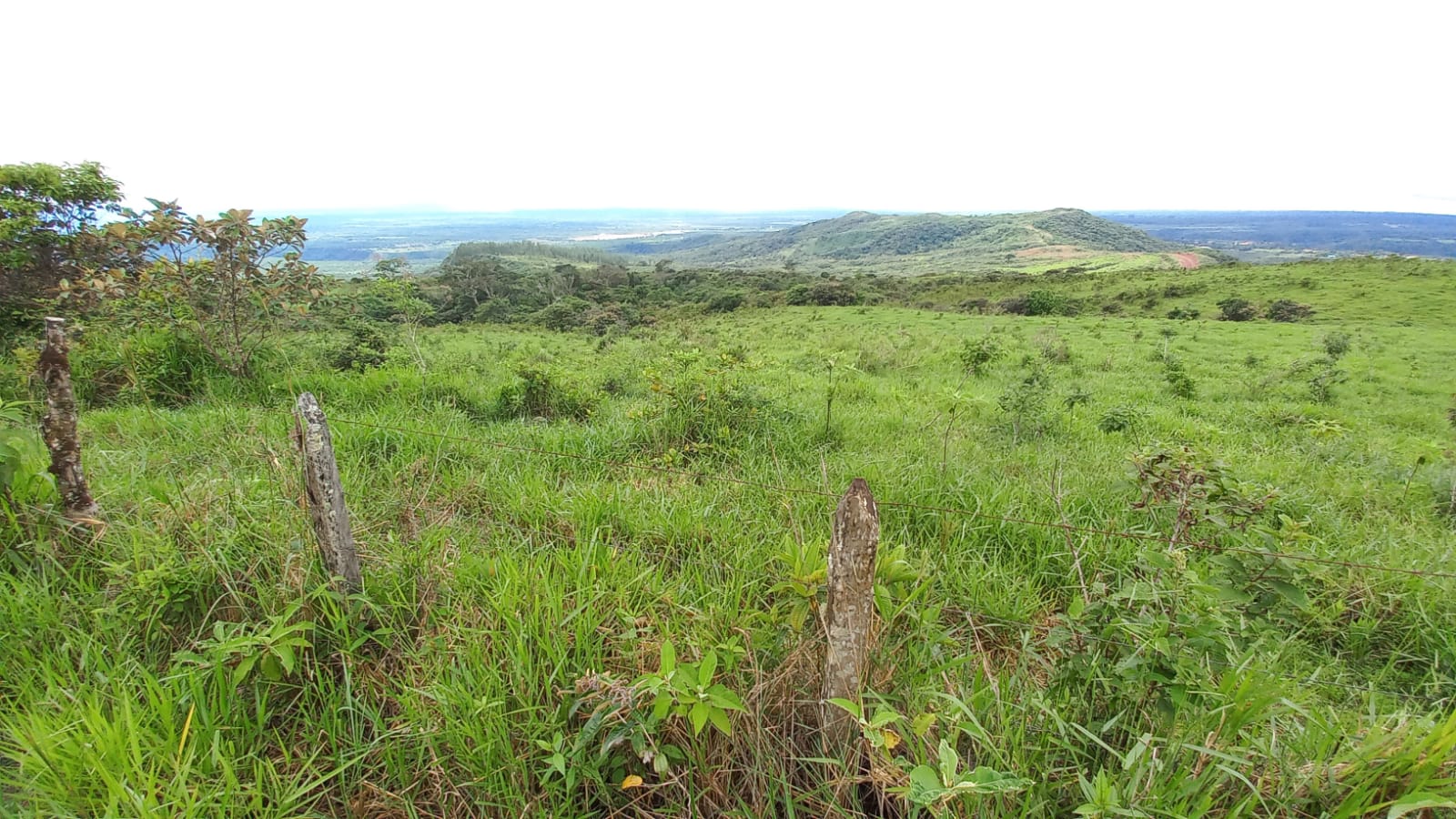 Imagen de bien en venta ubicado en: Chiriquí, Boquete, Boquete, Localidad De La Huaca, carretera que conduce a alto de boquete 