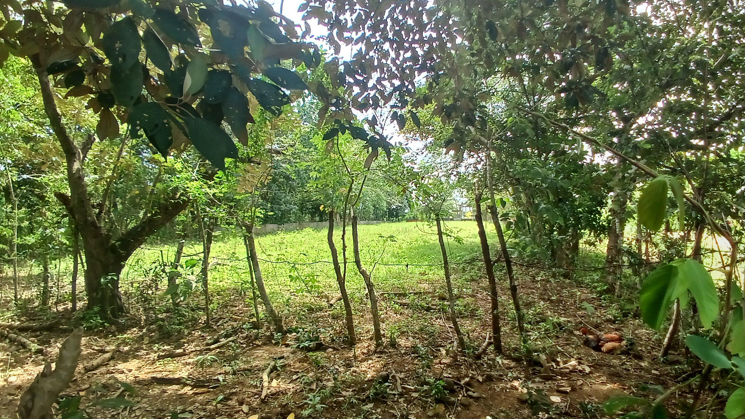 Imagen de bien en venta ubicado en: Veraguas, Santiago, La Raya De Santa María, La Raya De Santa María, Predio 6