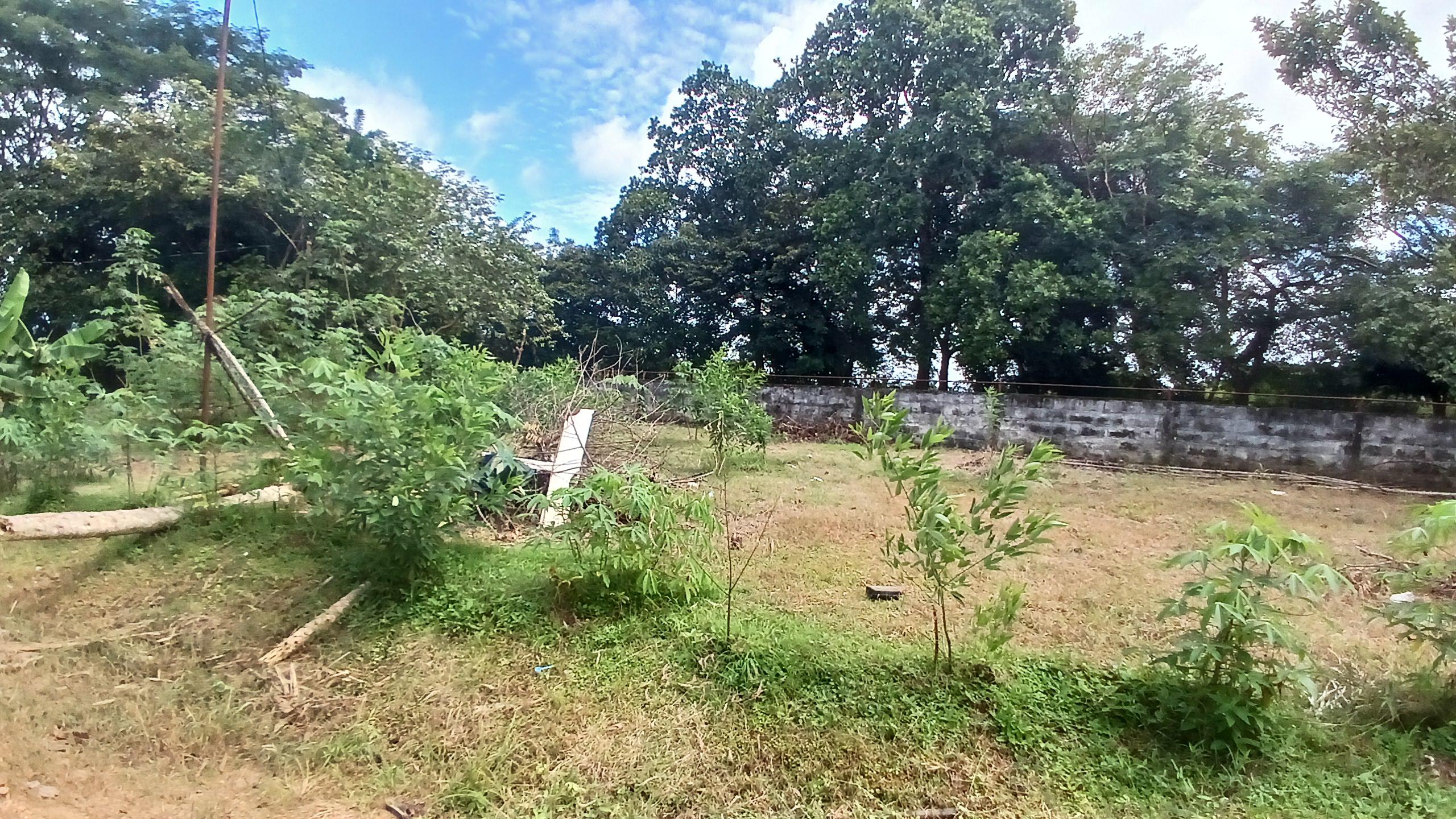 Imagen de bien en venta ubicado en: Veraguas, Santiago, La Raya De Santa María, La Raya De Santa María, Predio 6