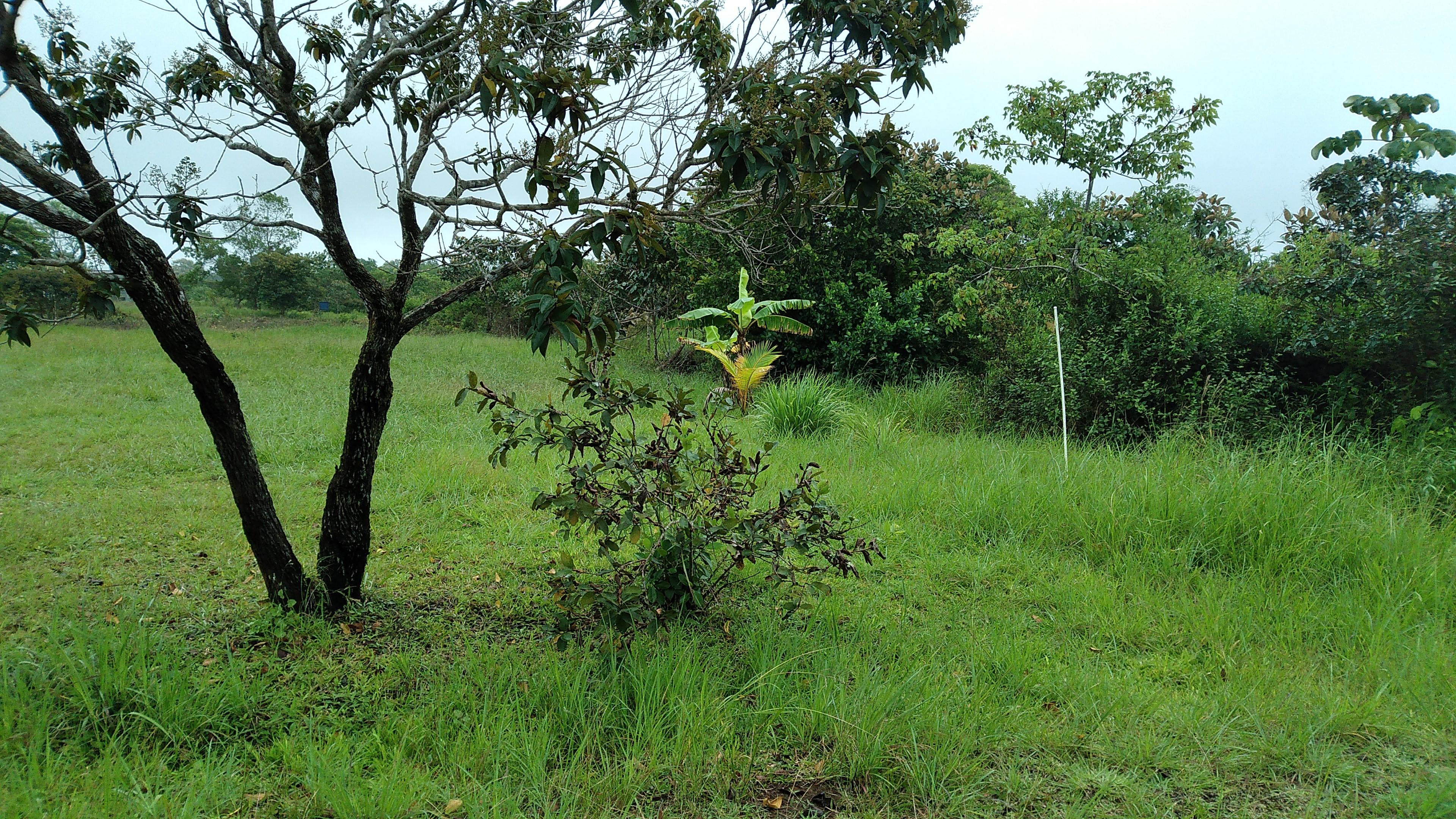 Imagen de bien en venta ubicado en: Chiriquí, Dolega, Potrerillos, Barriada Altos del Valle, calle de piedra Lote 84 y 85