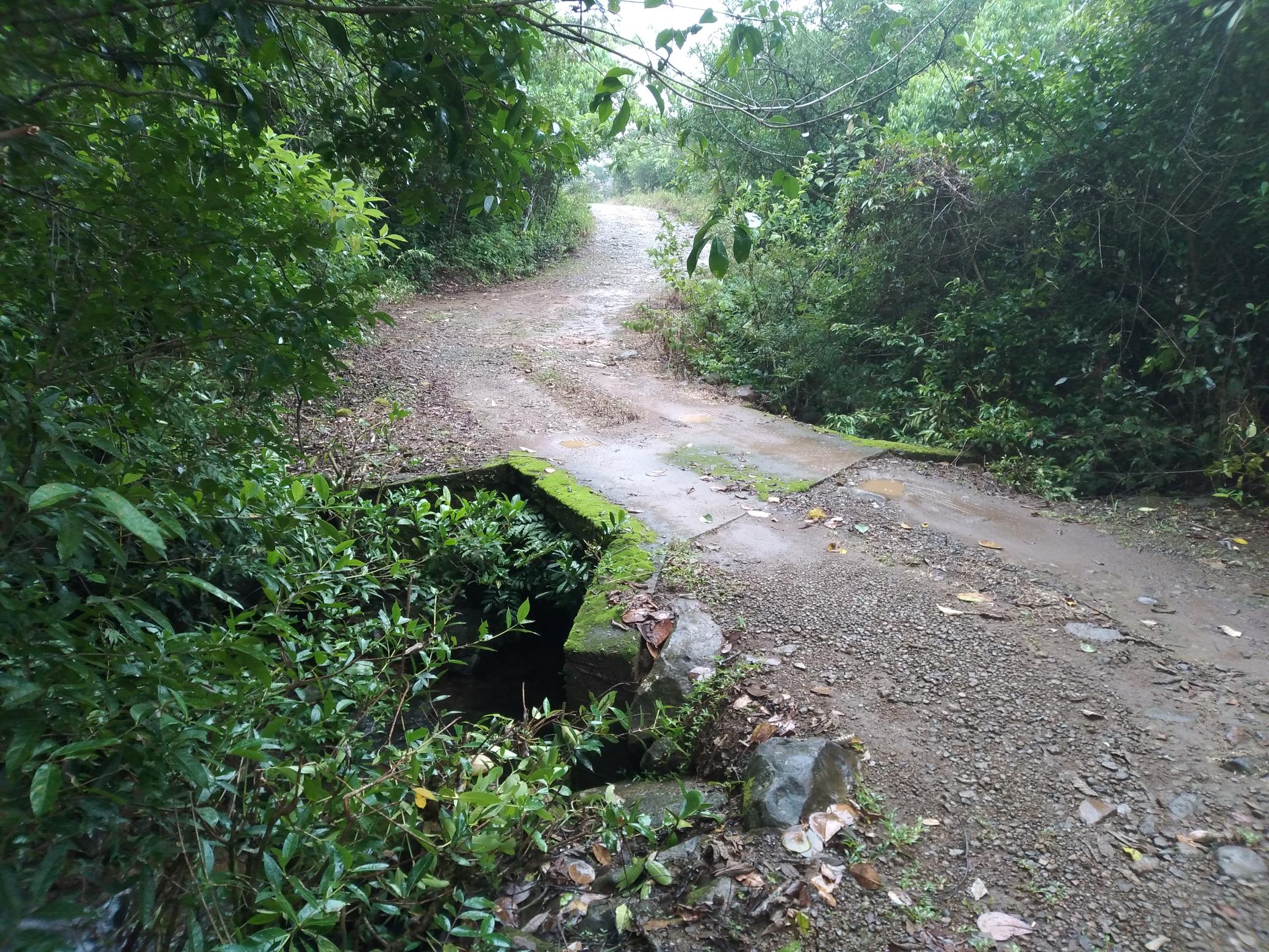 Imagen de bien en venta ubicado en: Chiriquí, Dolega, Potrerillos, Barriada Altos del Valle, calle de piedra Lote 84 y 85