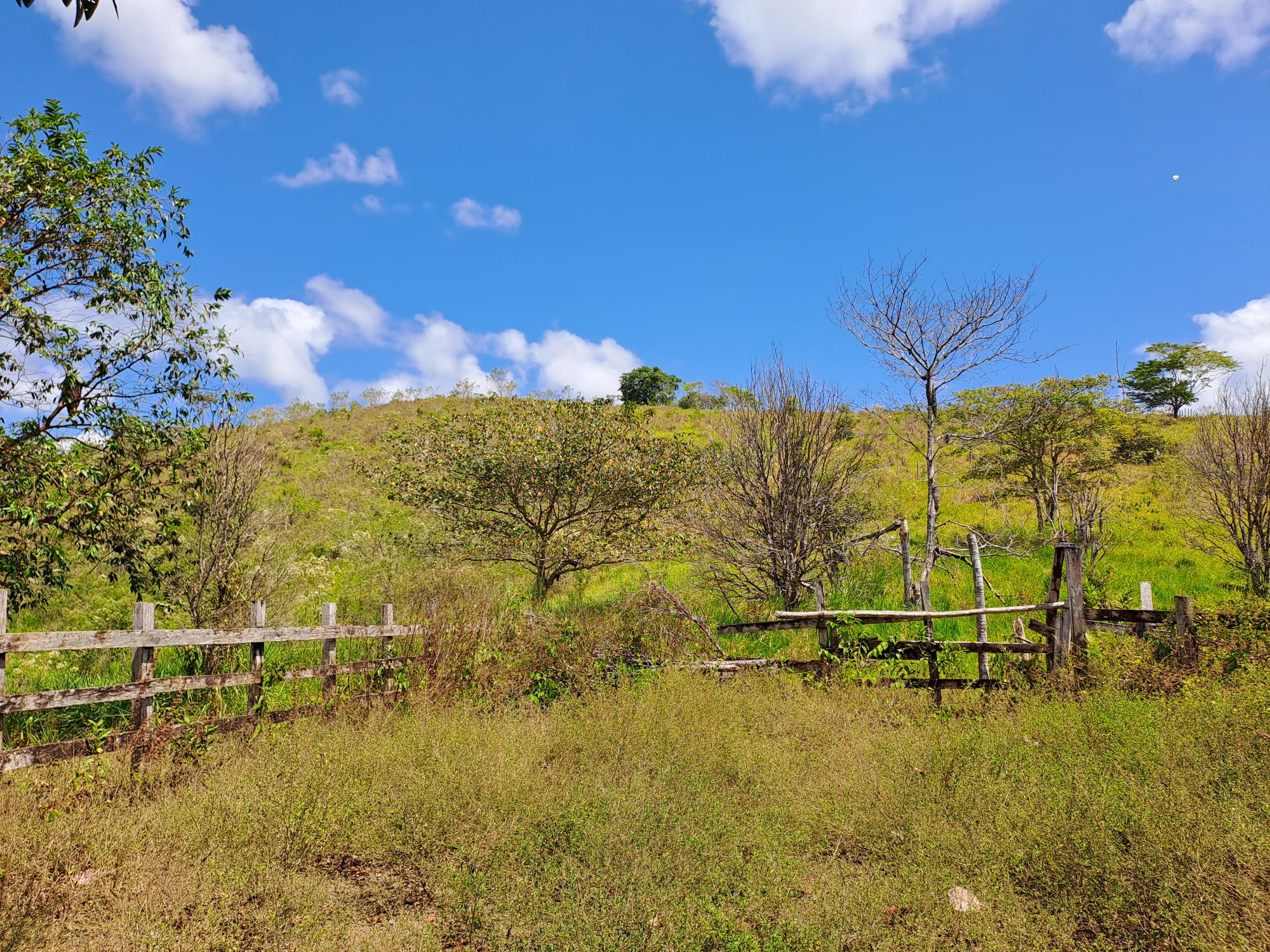 Imagen de bien en venta ubicado en: Darién, Chepigana, La Palma, Tutumate, Cruzando el Río Tuira