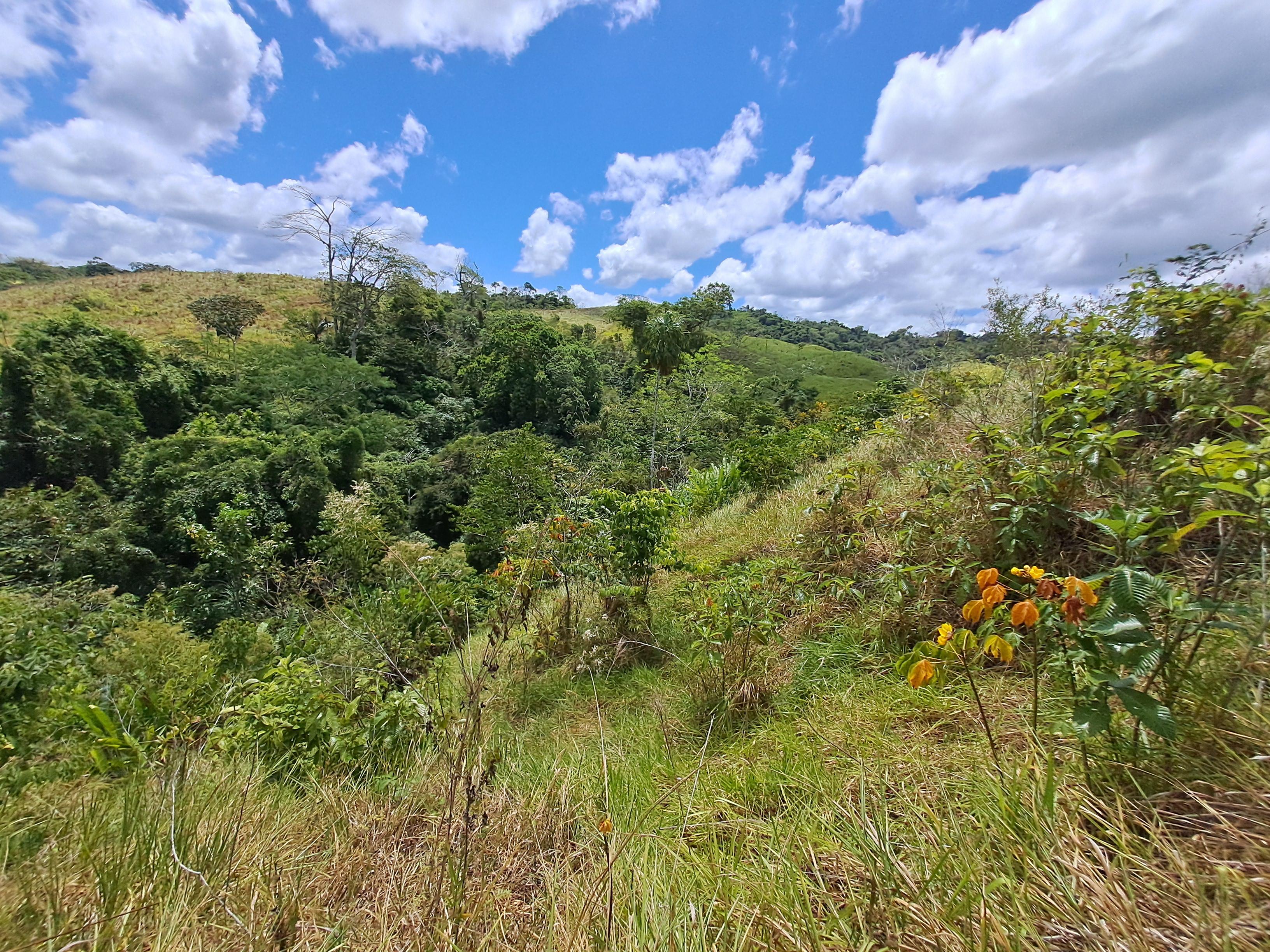 Imagen de bien en venta ubicado en: Darién, Chepigana, La Palma, Tutumate, Cruzando el Río Tuira