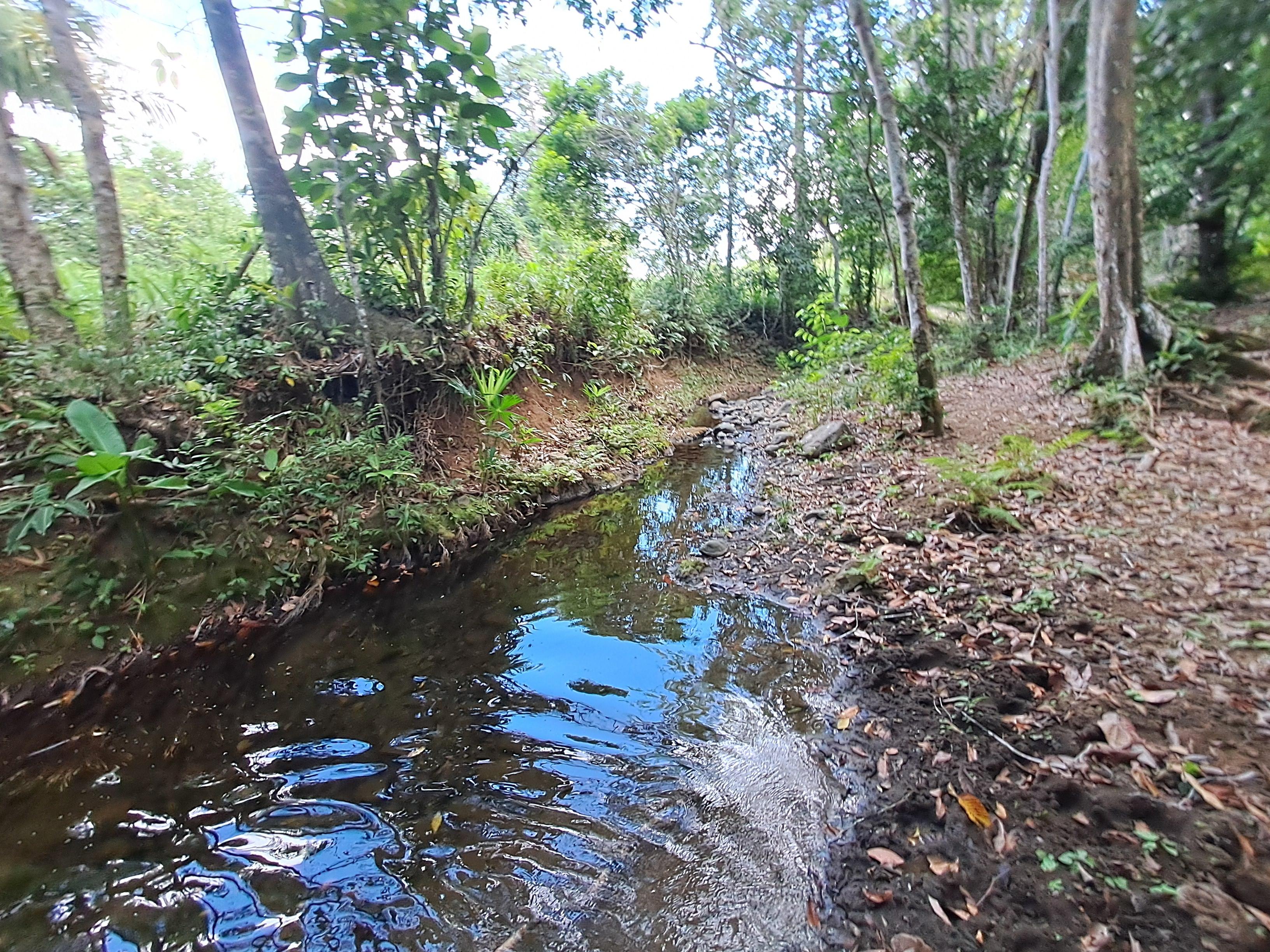 Imagen de bien en venta ubicado en: Darién, Chepigana, La Palma, Tutumate, Cruzando el Río Tuira