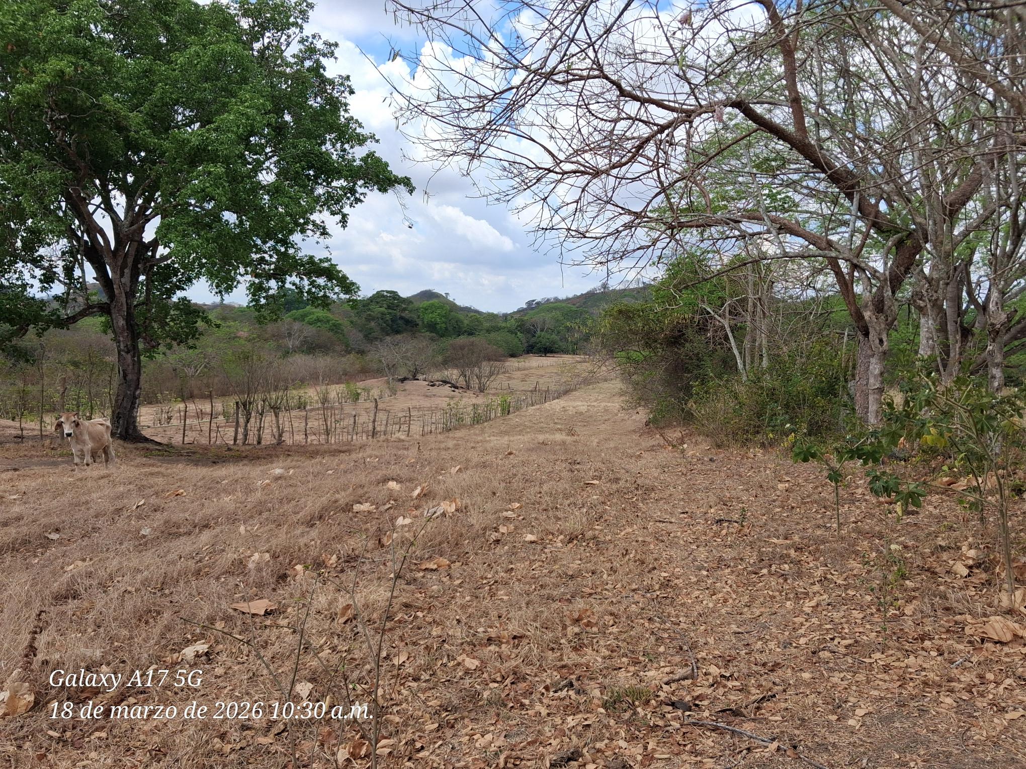 Imagen de bien en venta ubicado en: Herrera, Chitré, Chitré, Las Lajitas final, detrás del Residencial Paseo Los Guayacanes
