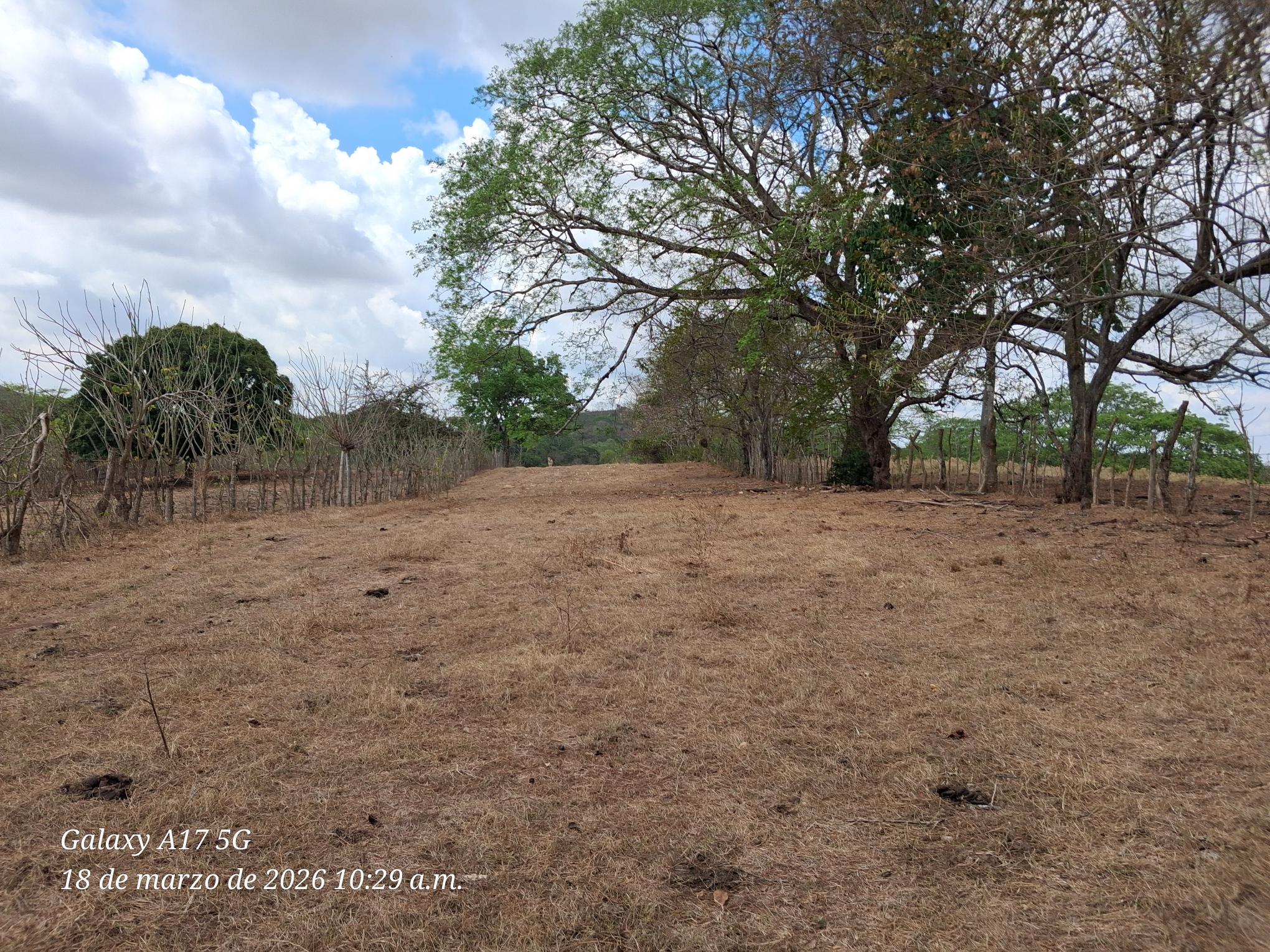 Imagen de bien en venta ubicado en: Herrera, Chitré, Chitré, Las Lajitas final, detrás del Residencial Paseo Los Guayacanes