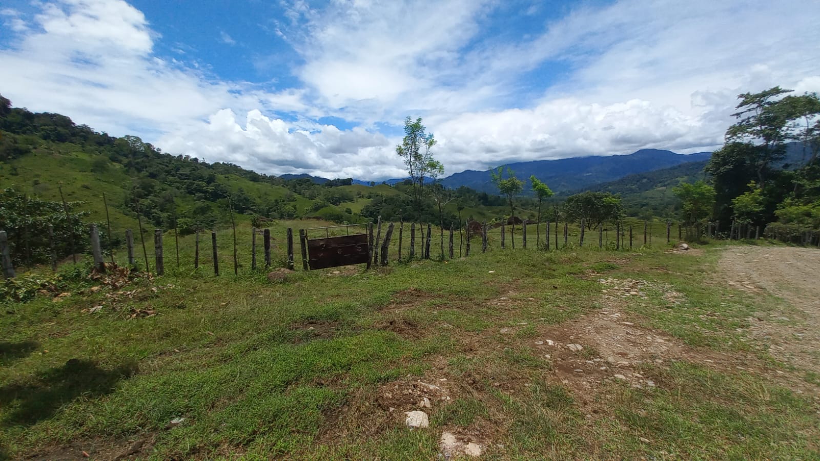 Imagen de bien en venta ubicado en: Bocas del Toro, Chiriquí Grande, Punta Peña, Calle Correg. Punta Peña, Quebrada Camarón