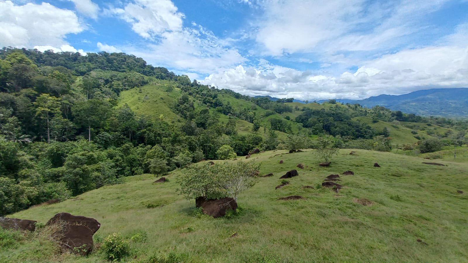 Imagen de bien en venta ubicado en: Bocas del Toro, Chiriquí Grande, Punta Peña, Calle Correg. Punta Peña, Quebrada Camarón
