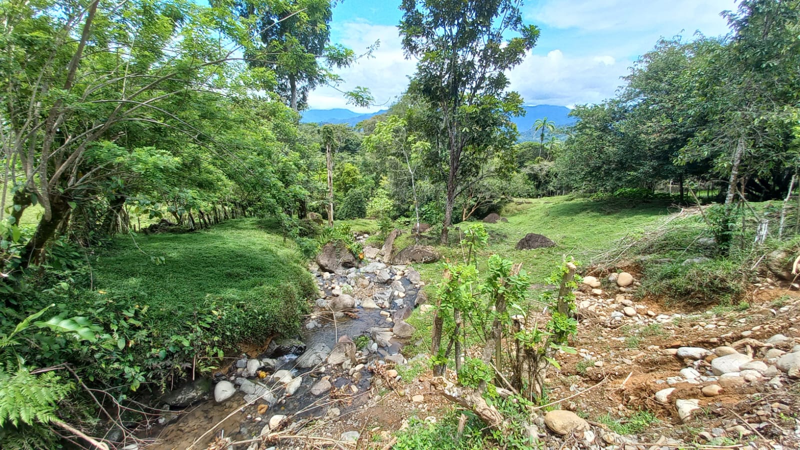 Imagen de bien en venta ubicado en: Bocas del Toro, Chiriquí Grande, Punta Peña, Calle Correg. Punta Peña, Quebrada Camarón