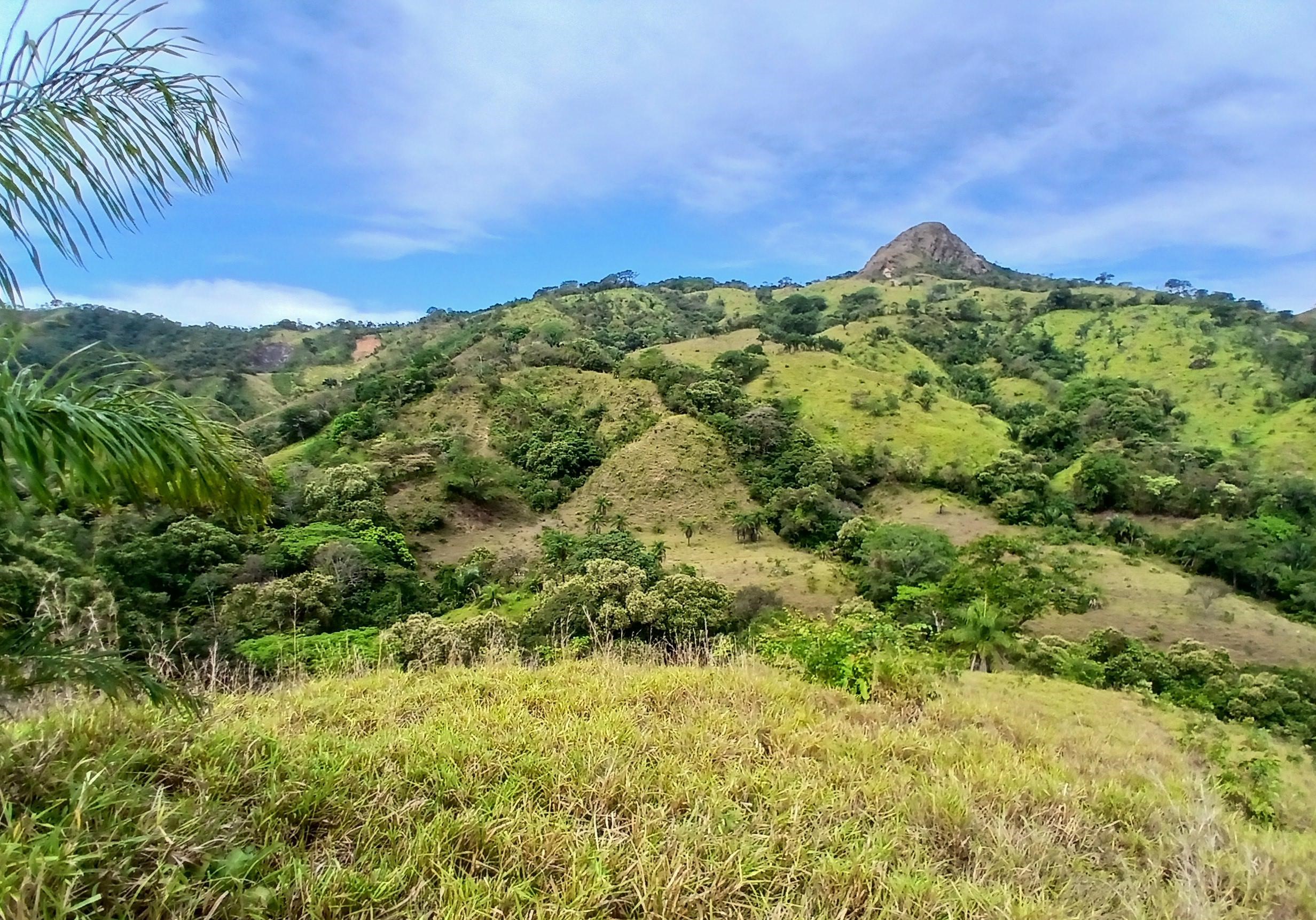 Imagen de bien en venta ubicado en: Herrera, Ocú, Los Llanos, Los Llanos, Los Llanos