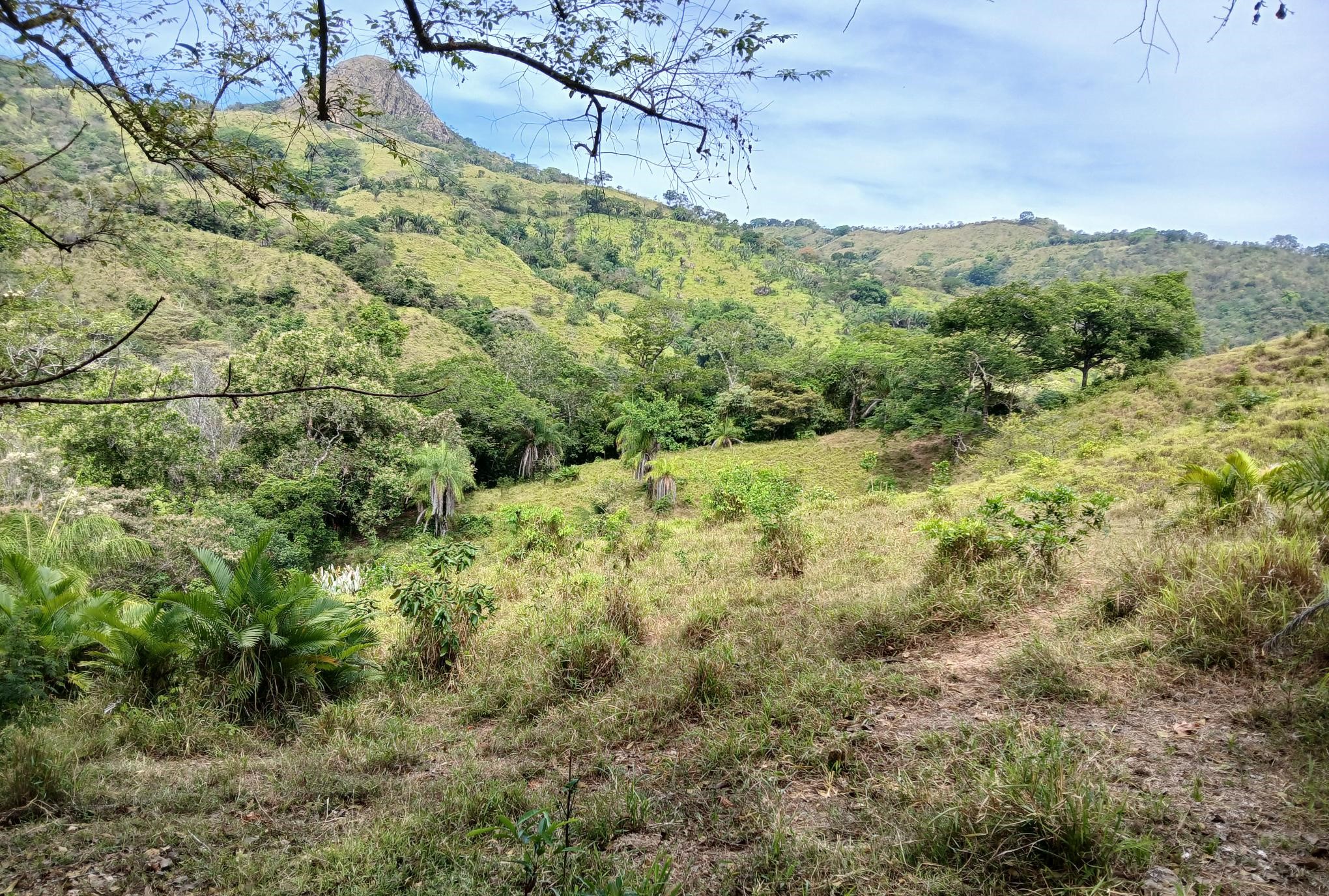 Imagen de bien en venta ubicado en: Herrera, Ocú, Los Llanos, Los Llanos, Los Llanos