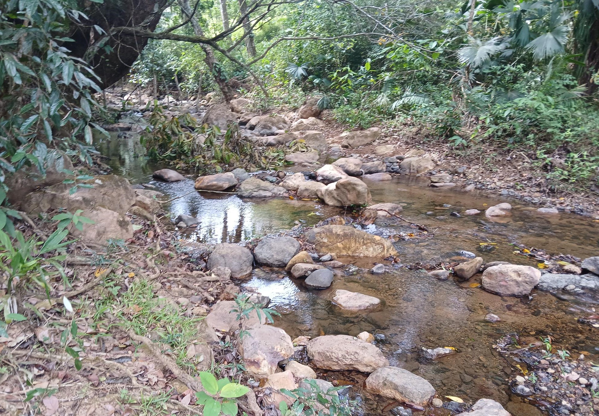 Imagen de bien en venta ubicado en: Herrera, Ocú, Los Llanos, Los Llanos, Los Llanos