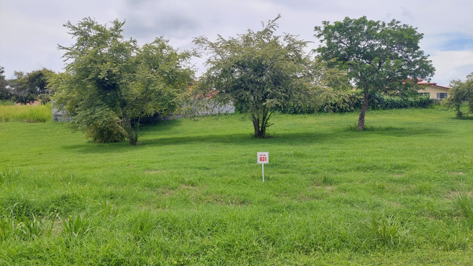 Imagen de bien en venta ubicado en: Panamá Oeste, Chame, Nueva Gorgona, Urbanización Palmeras del Golf, Calle Paseo Las Palmeras  lote 30 y 31