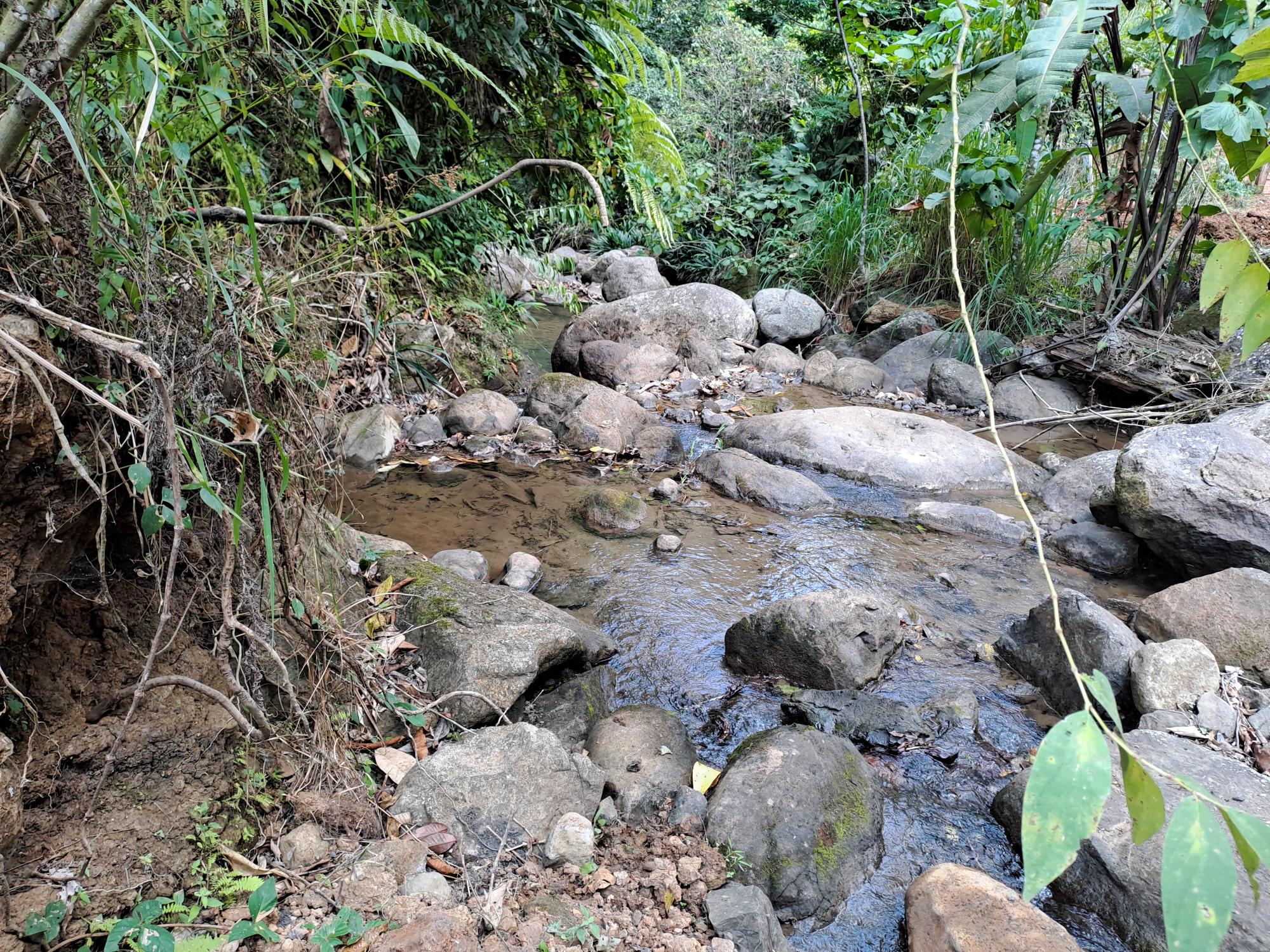 Imagen de bien en venta ubicado en: Panamá, Chepo, Tortí, 