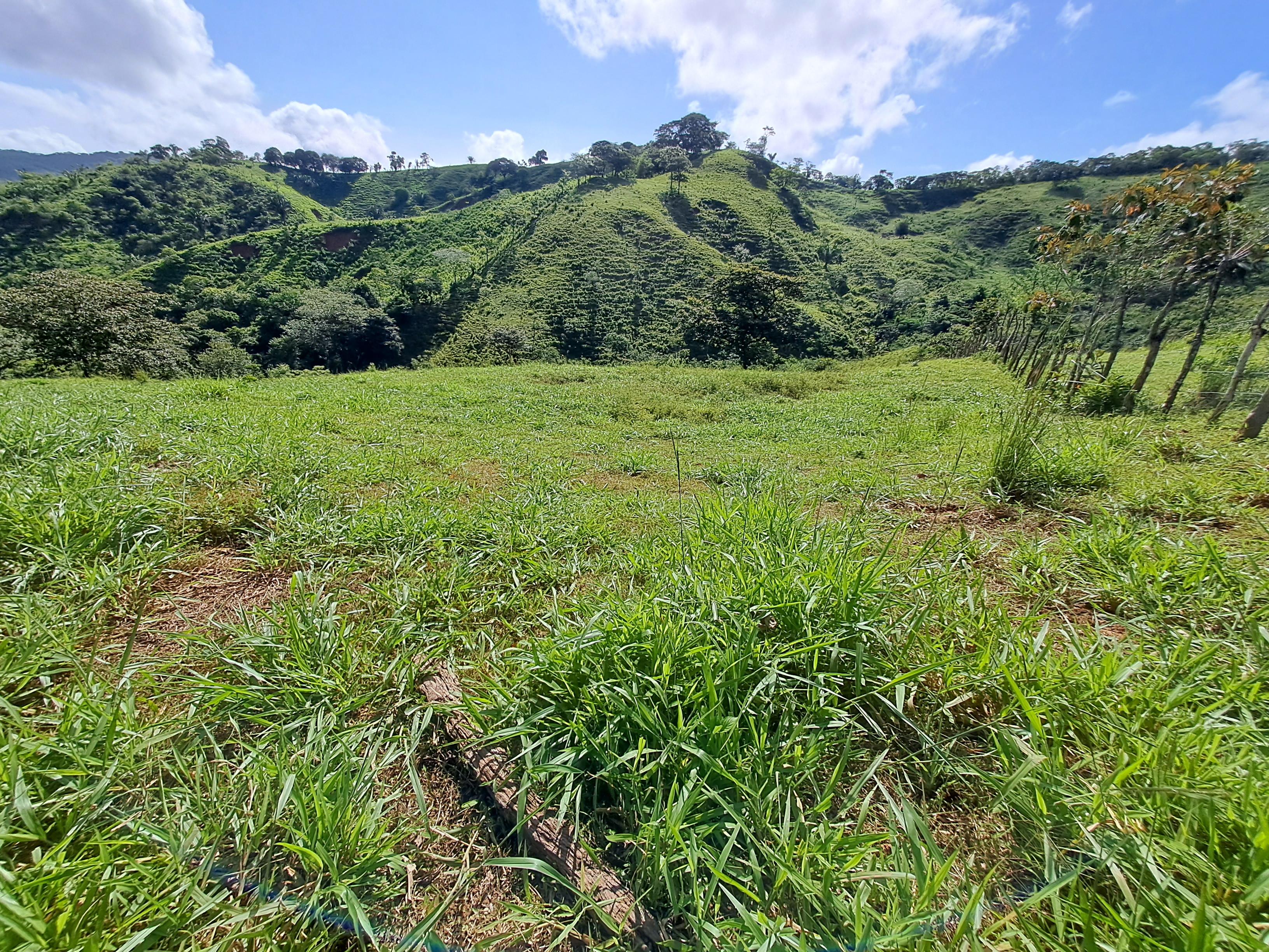 Imagen de bien en venta ubicado en: Veraguas, Soná, Calidonia, Cabismales, 