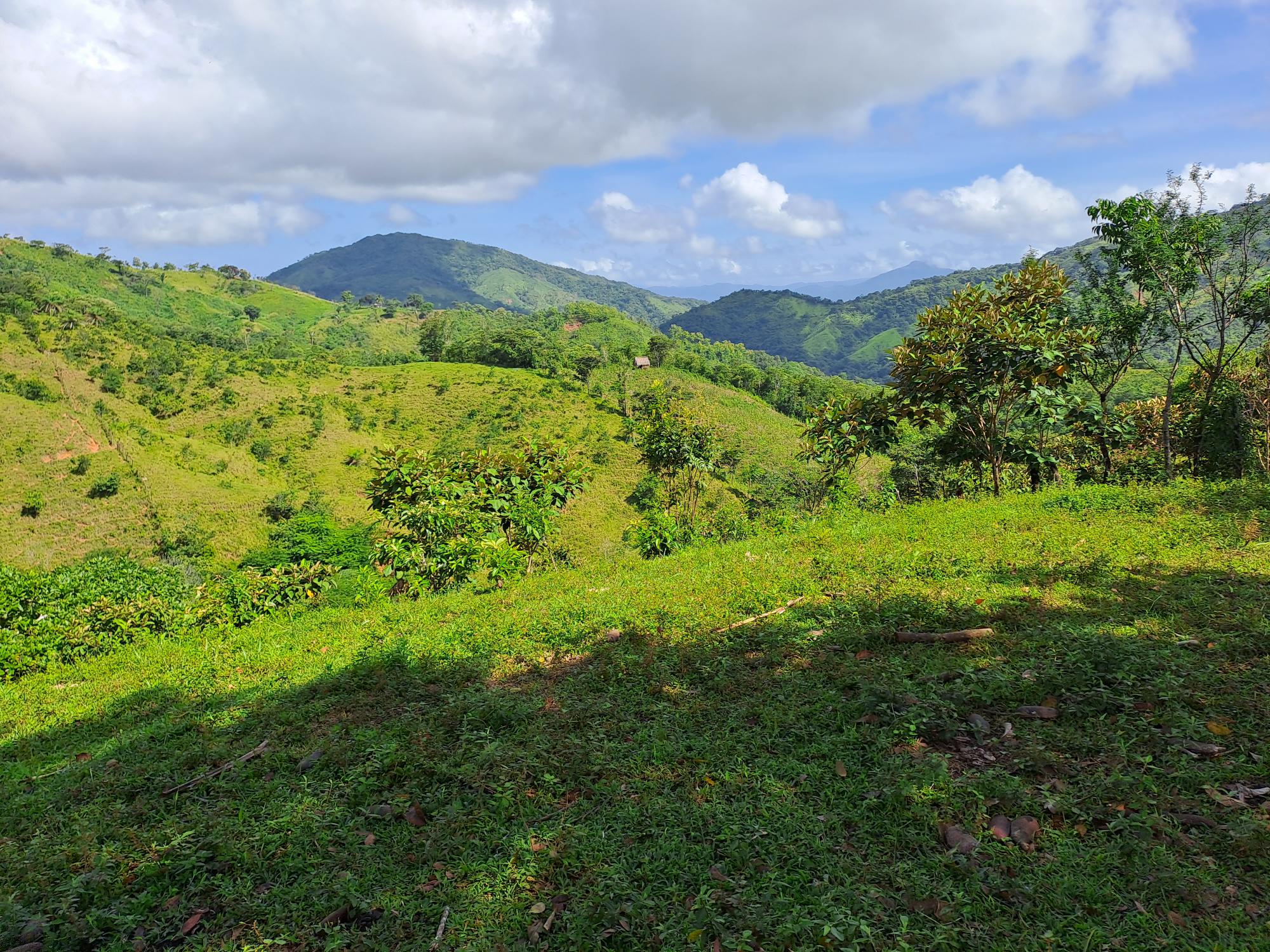 Imagen de bien en venta ubicado en: Veraguas, Soná, Calidonia, Cabismales, 