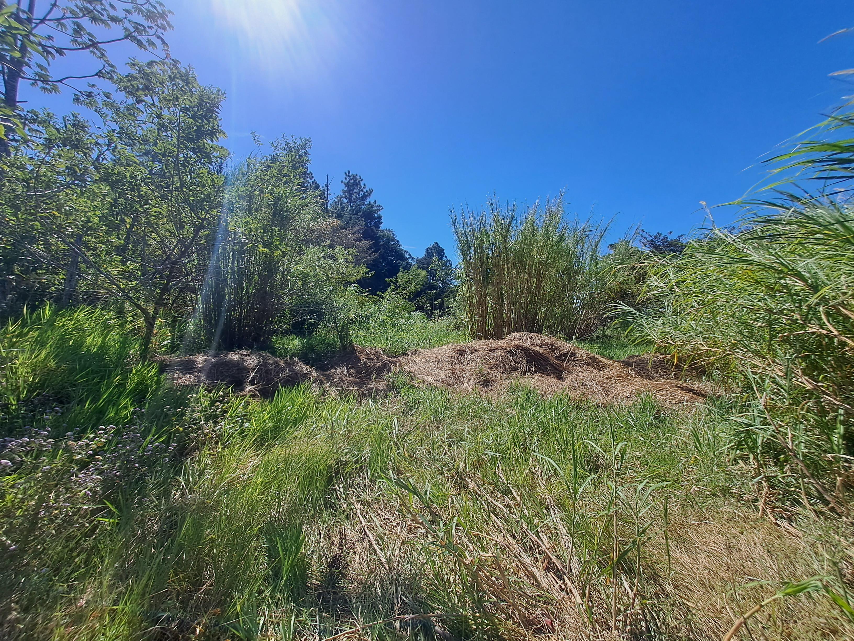 Imagen de bien en venta ubicado en: Chiriquí, Boquete, Boquete, Olimpo