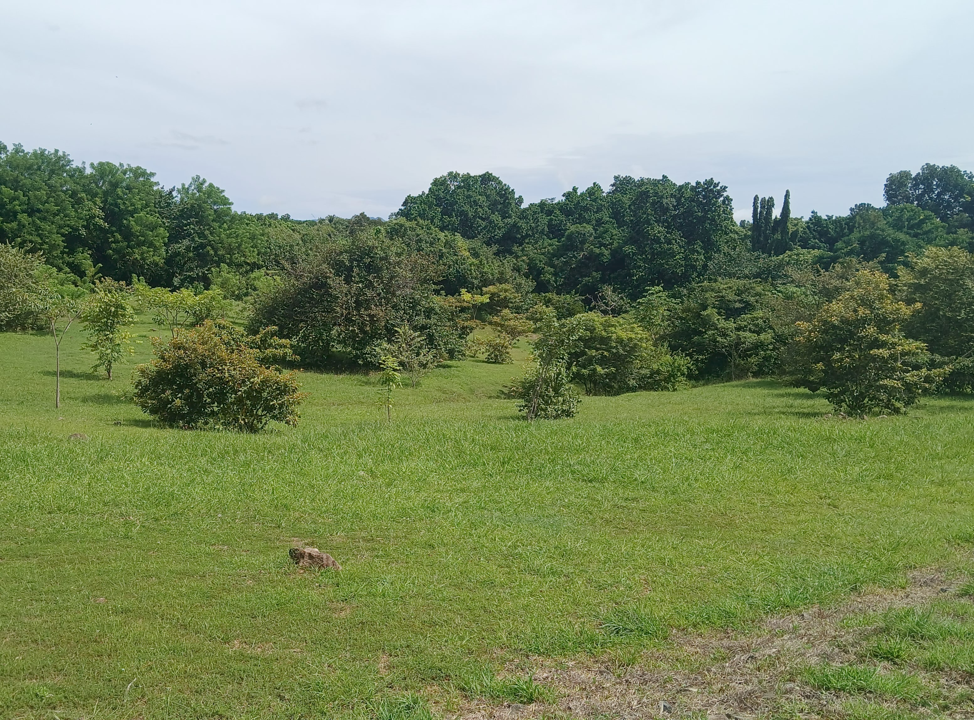 Imagen de bien en venta ubicado en: Panamá Oeste, Chame, Las Lajas, Urb. Villa Campestres De Las Lajas, Lote No.1, 20, 26, 27, 51 y 52