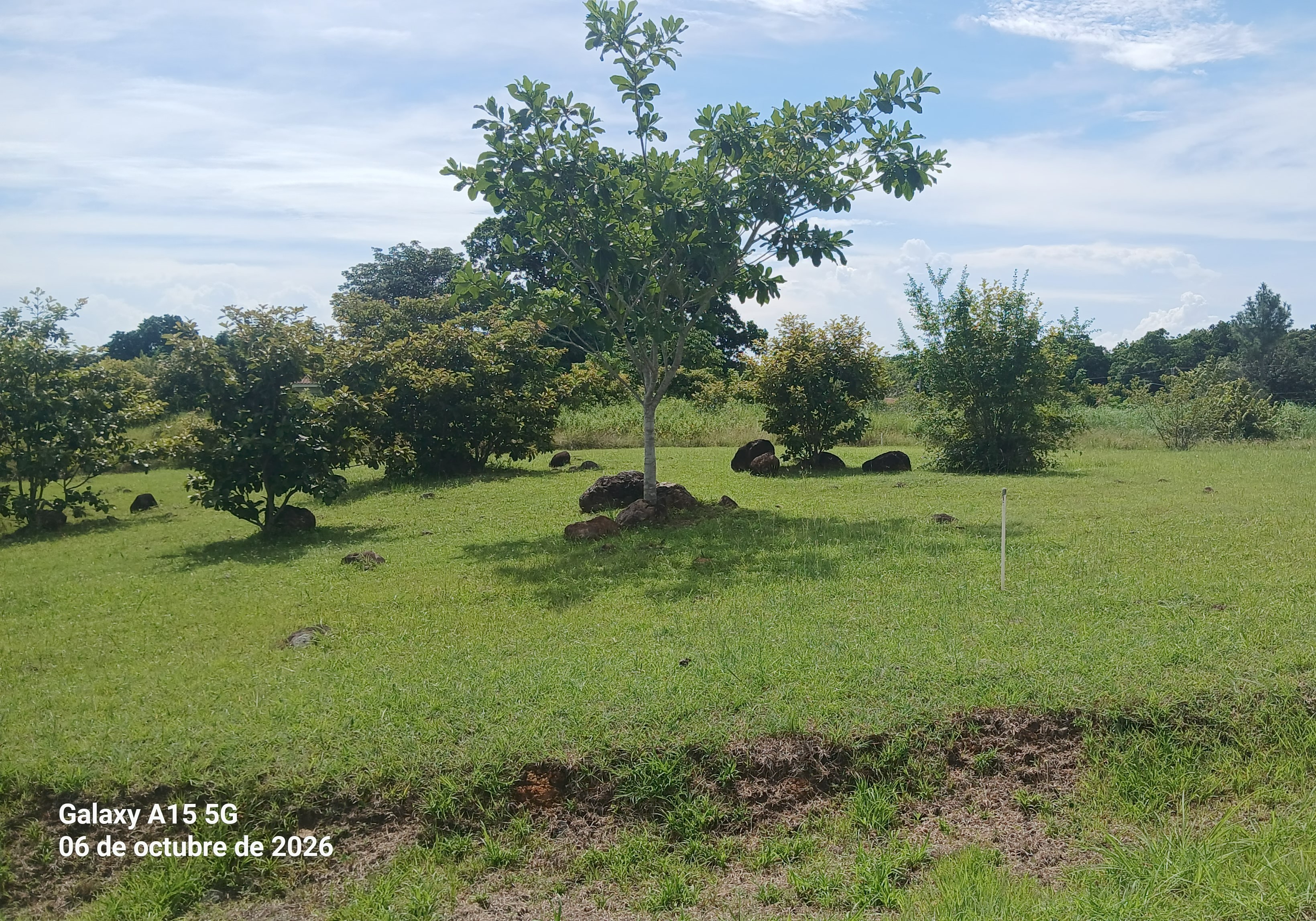 Imagen de bien en venta ubicado en: Panamá Oeste, Chame, Las Lajas, Urb. Villa Campestres De Las Lajas, Lote No.1, 20, 26, 27, 51 y 52