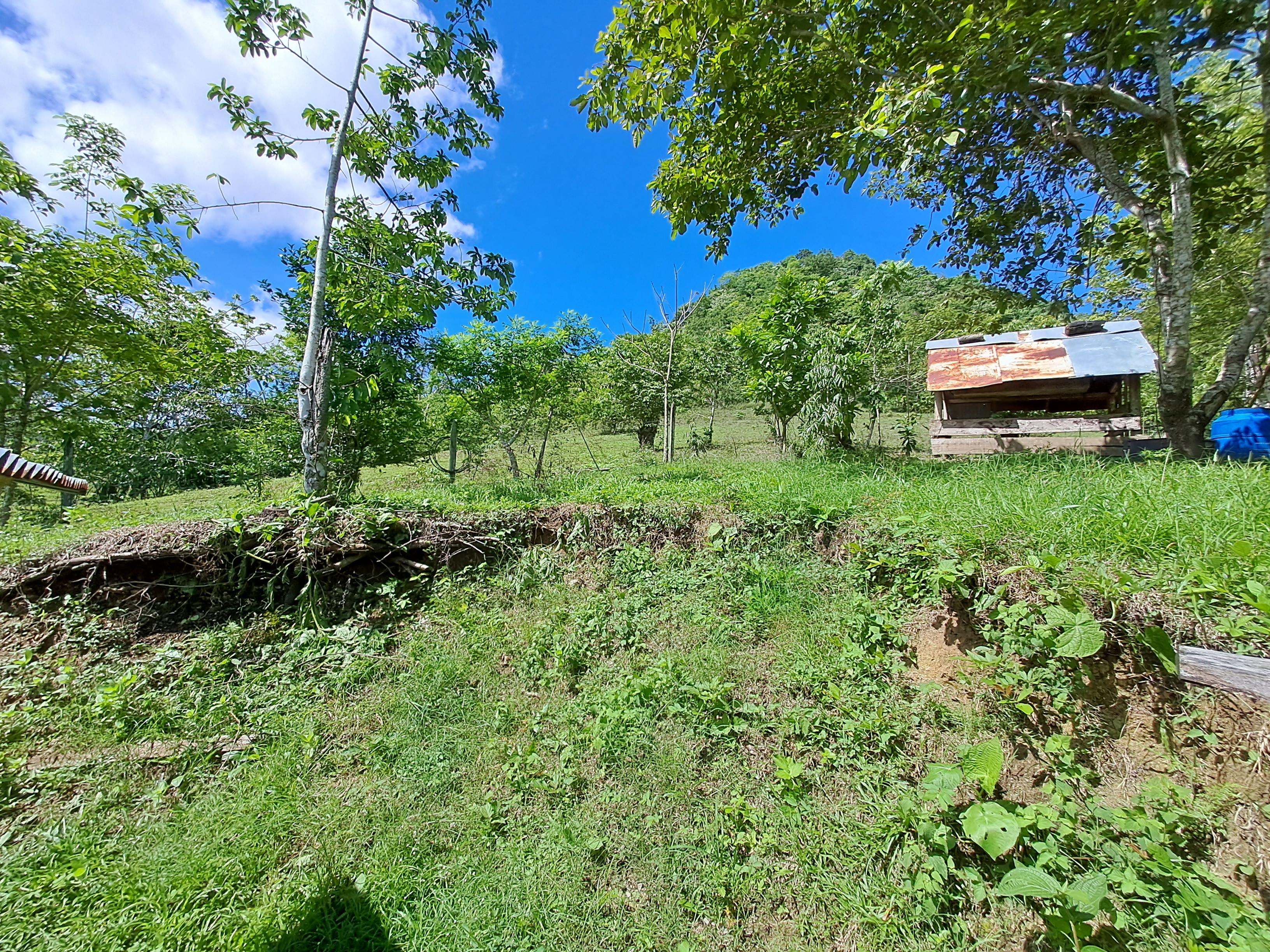 Imagen de bien en venta ubicado en: Darién, Chepigana, La Palma, 