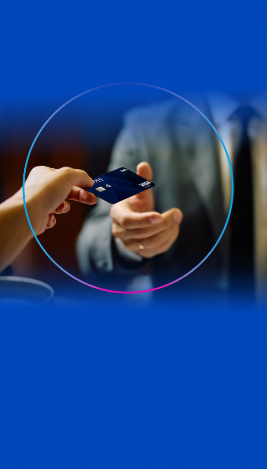 banner-home-mobile-visa-link-business.jpg