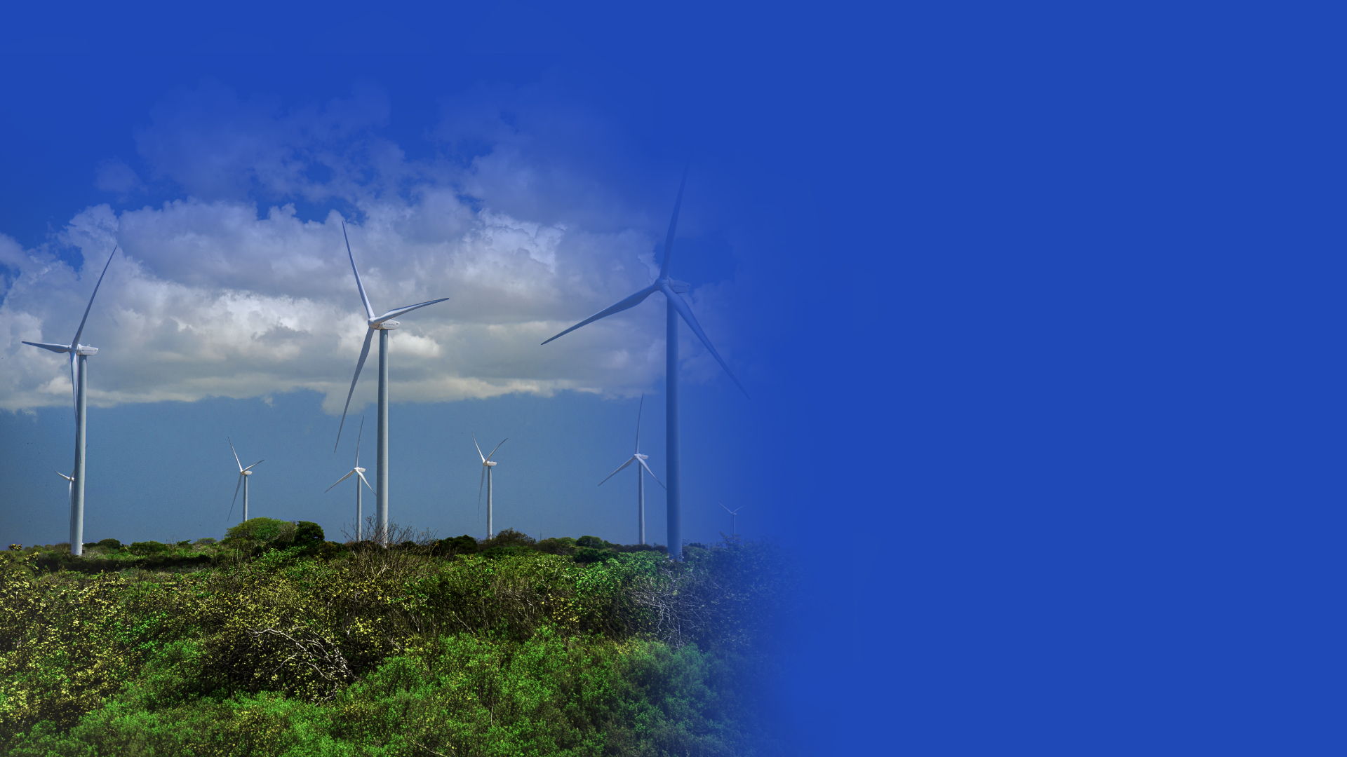 globalbank_informesostenibilidad_2024-2025_julio_2026_bannerdesktop.jpg