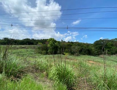 Imagen de bien en venta ubicado en: Panamá Oeste, Arraiján, Arraiján, Cerro Silvestre