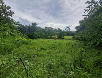 Imagen de bien en venta ubicado en: Veraguas, Soná, Río Grande