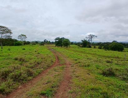 Imagen de bien en venta ubicado en: Darién, Chepigana, Río Congo, Río Congo, Río Congo