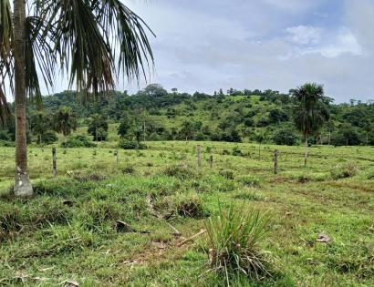 Imagen de bien en venta ubicado en: Darién, Chepigana, Río Congo, Río Congo, Río Congo