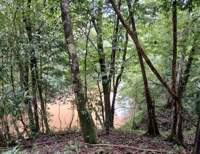 Imagen de bien en venta ubicado en: Darién, Chepigana, Río Congo, Río Congo, Río Congo