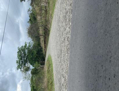 Imagen de bien en venta ubicado en: Panamá Oeste, San Carlos, Los Llanitos, Parcela 2