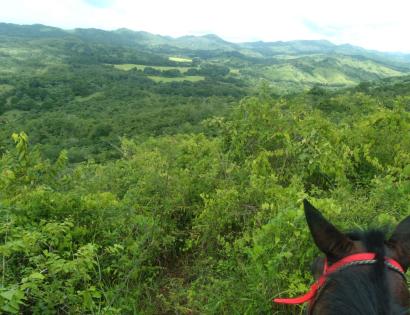 Imagen de bien en venta ubicado en: Veraguas, Soná, Río Grande, El Corralillo, El tigre de San Lorenzo, 
