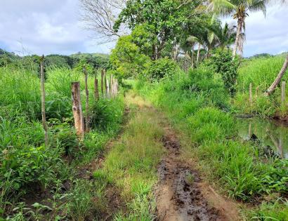 Imagen de bien en venta ubicado en: Veraguas, Soná, Río Grande, El Corralillo, El tigre de San Lorenzo, 